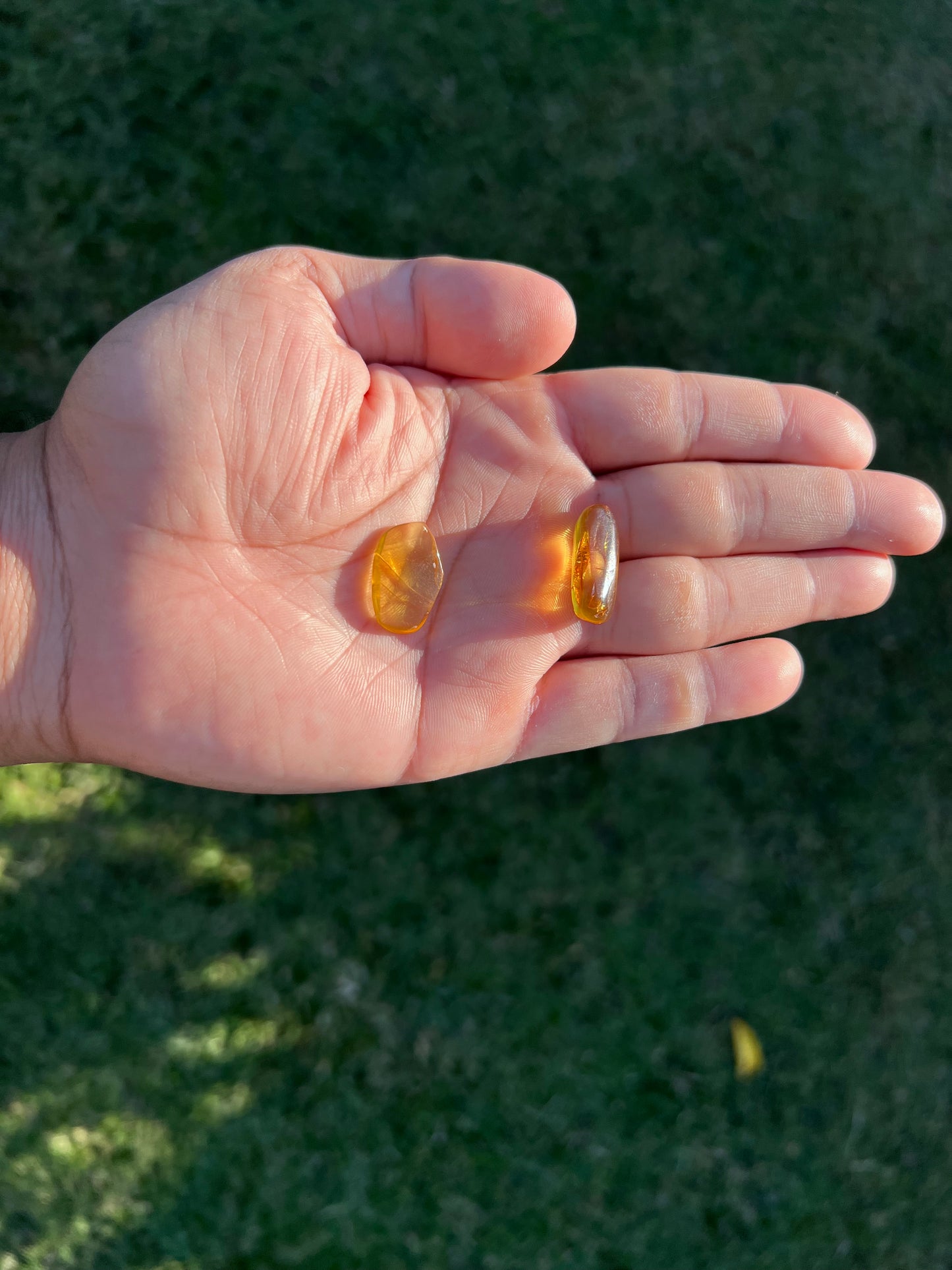 β¨ Unlock Ancient Magic with a Real Amber Geode from Mexico β¨