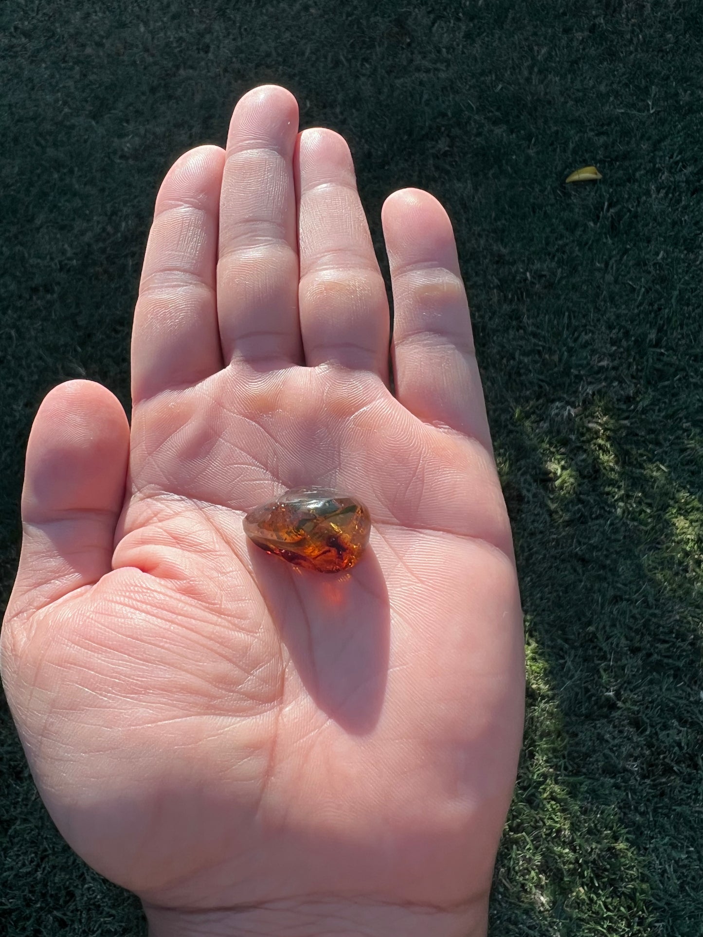 β¨ Unlock Ancient Magic with a Real Amber Geode from Mexico β¨