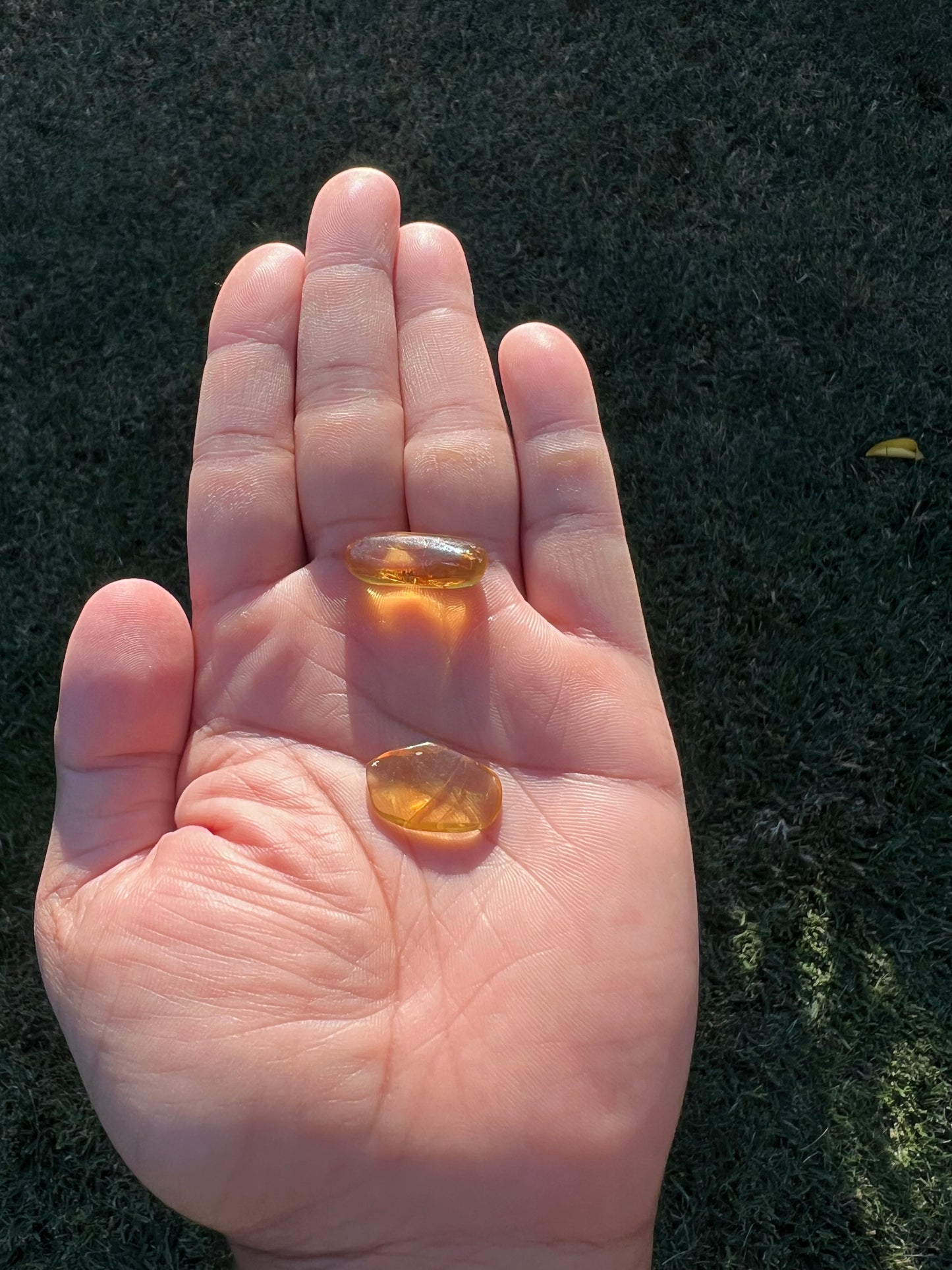β¨ Unlock Ancient Magic with a Real Amber Geode from Mexico β¨