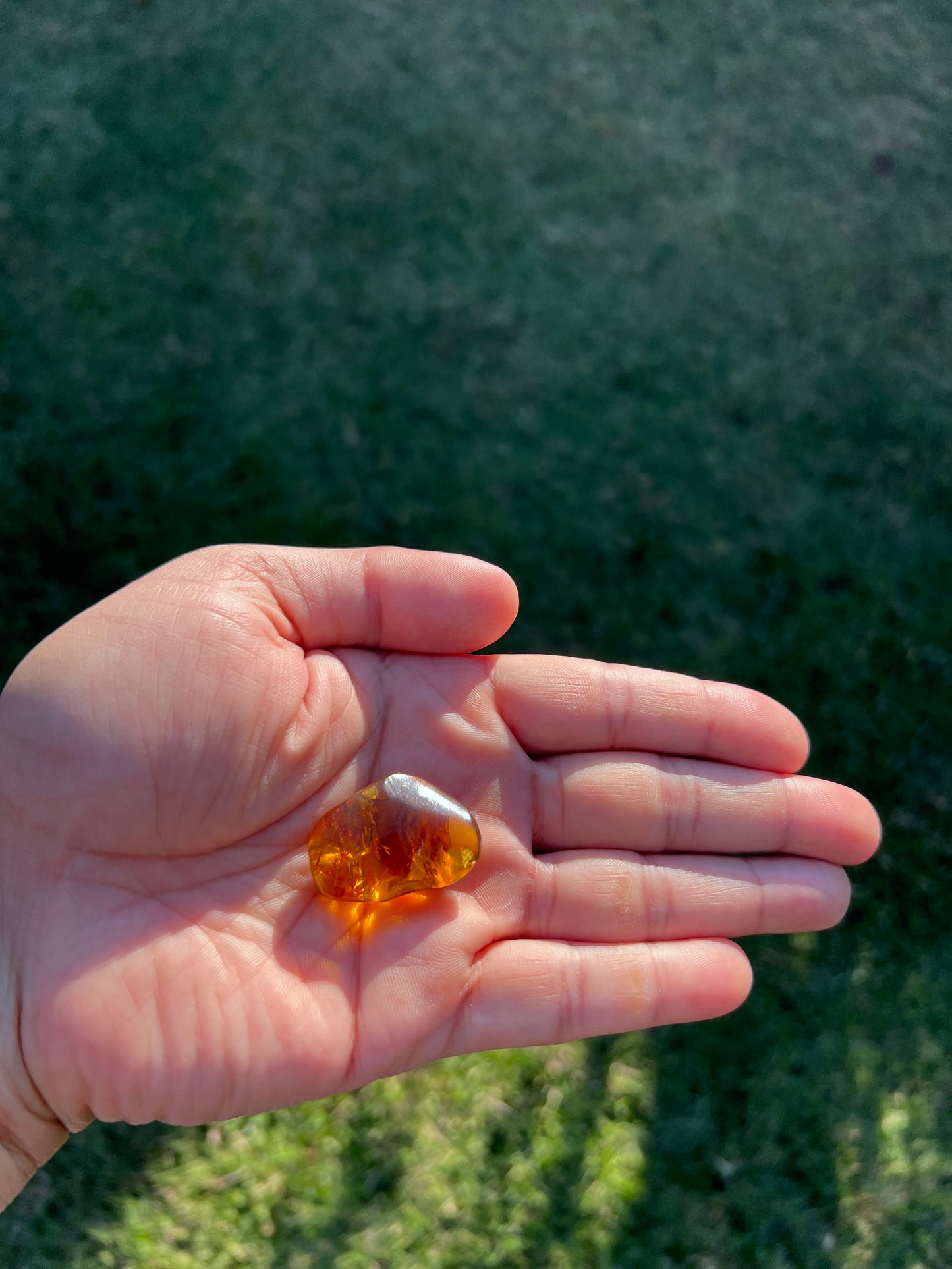 β¨ Unlock Ancient Magic with a Real Amber Geode from Mexico β¨