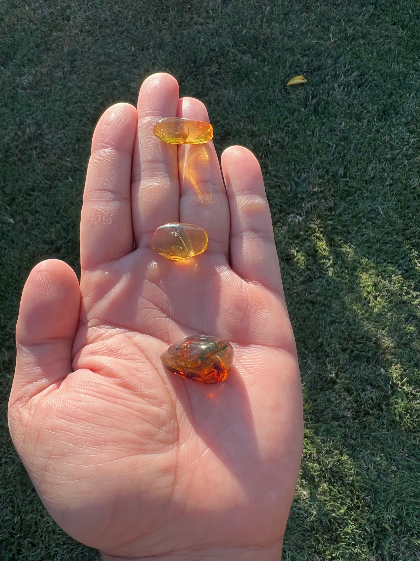 β¨ Unlock Ancient Magic with a Real Amber Geode from Mexico β¨