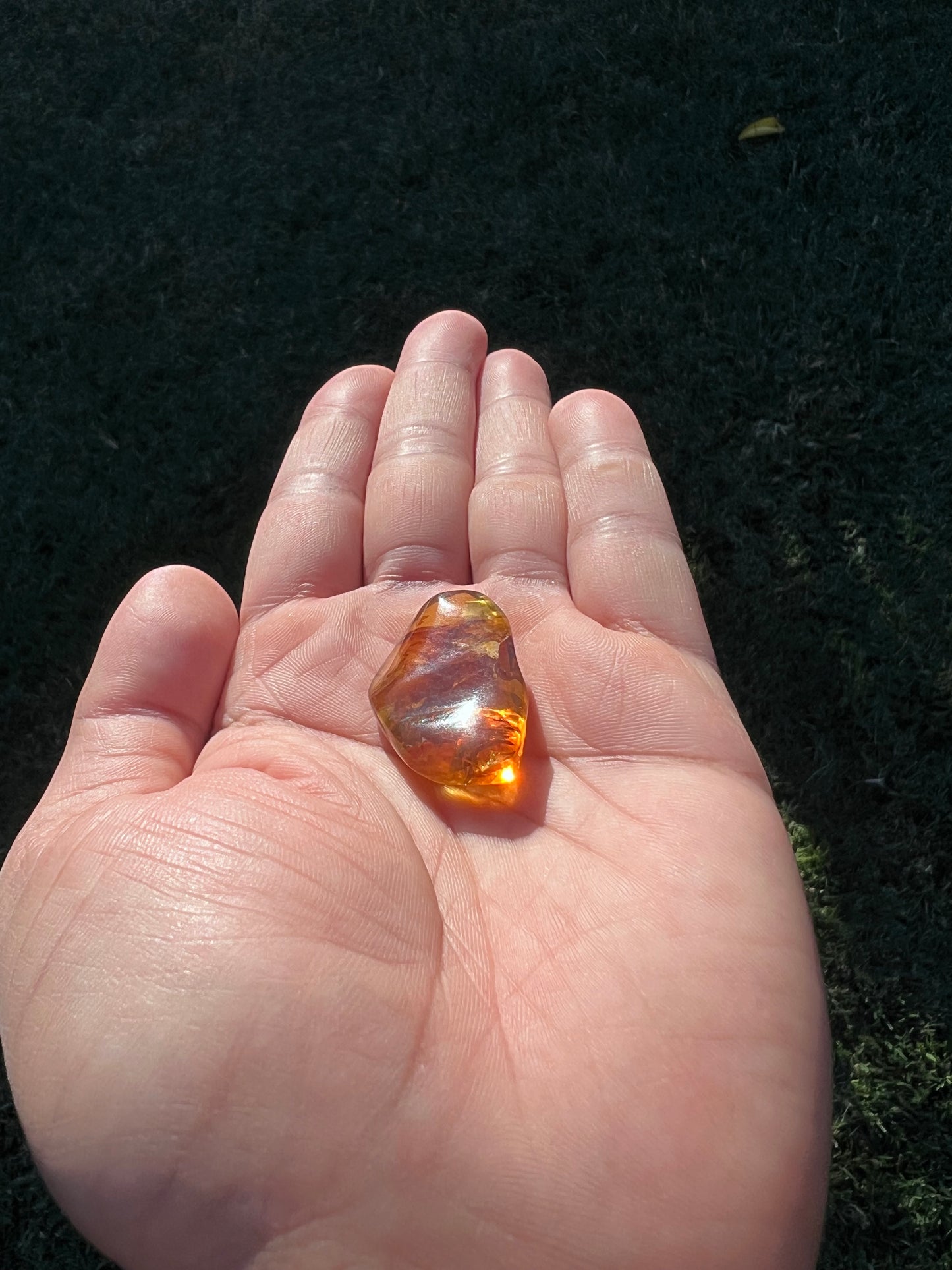 β¨ Unlock Ancient Magic with a Real Amber Geode from Mexico β¨