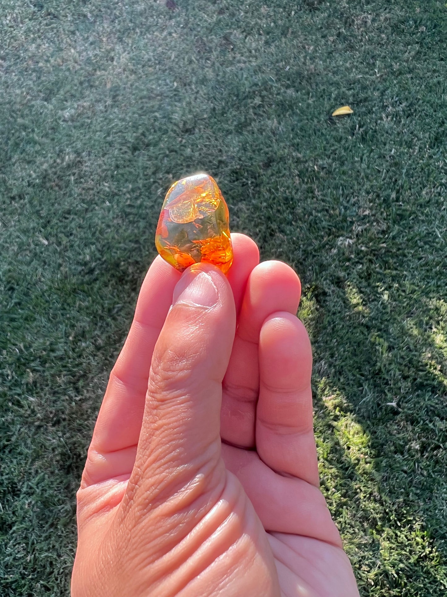 β¨ Unlock Ancient Magic with a Real Amber Geode from Mexico β¨