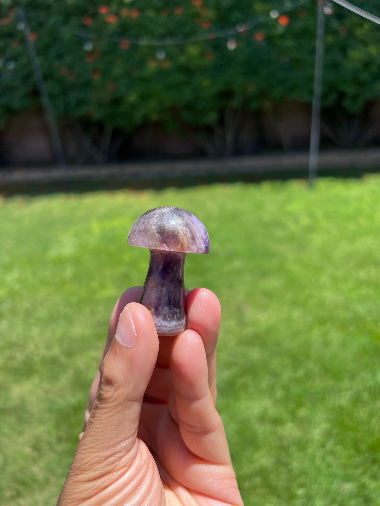 ✨ Amethyst Mushroom Crystal - Elevate Your Spirit & Mind ✨