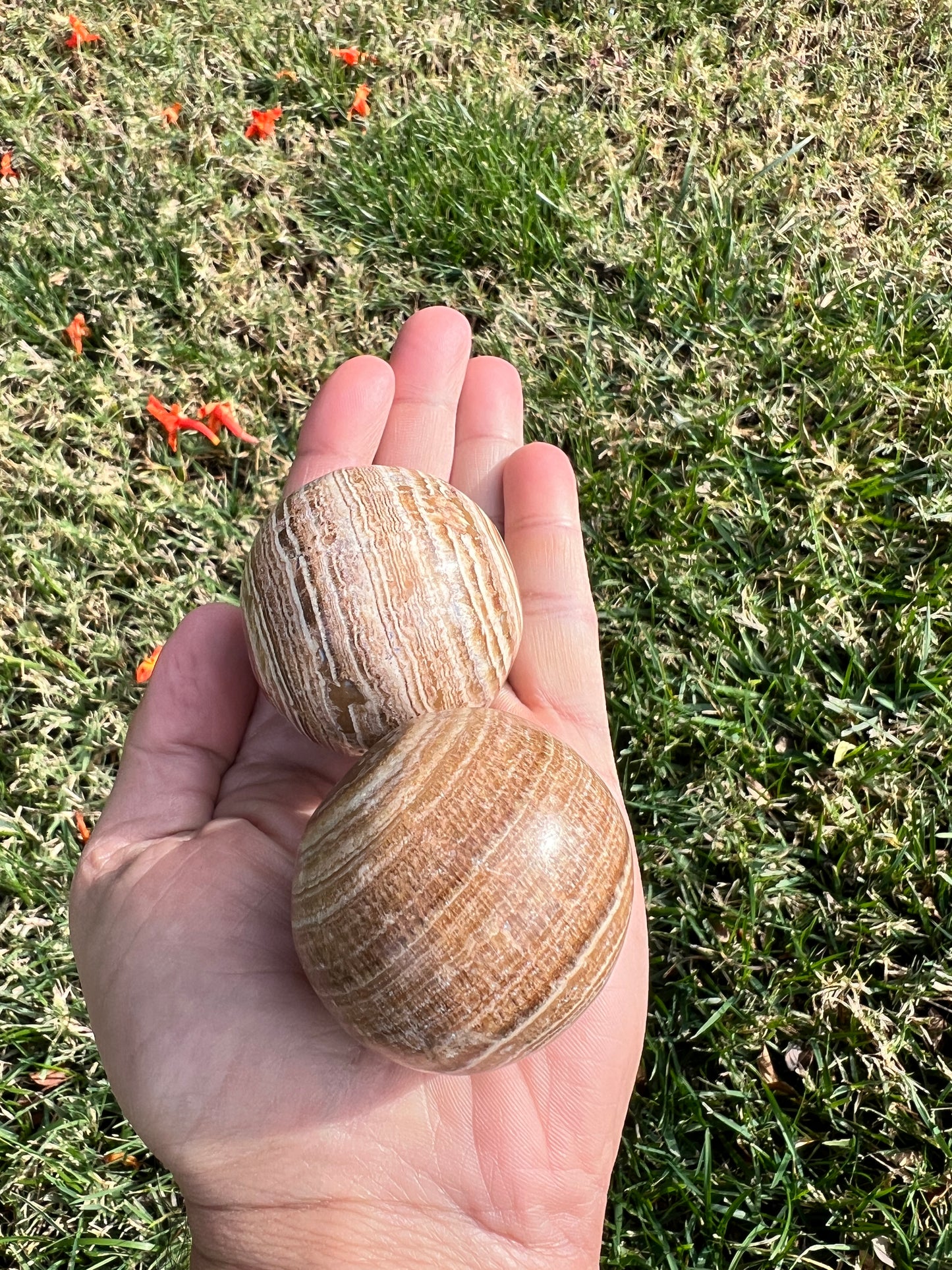 Ground Your Energy with a Calming Aragonite Sphere š