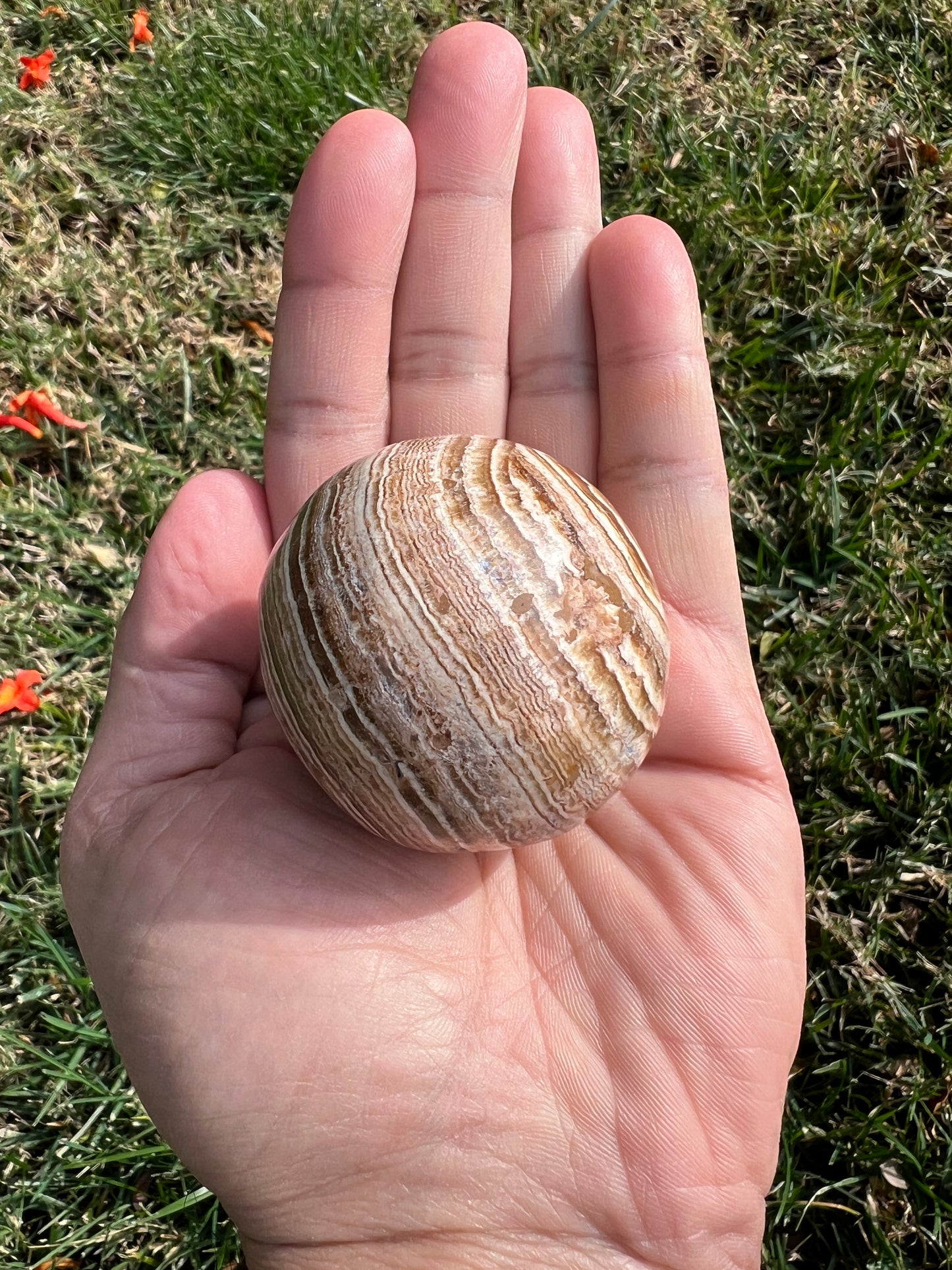 Ground Your Energy with a Calming Aragonite Sphere š