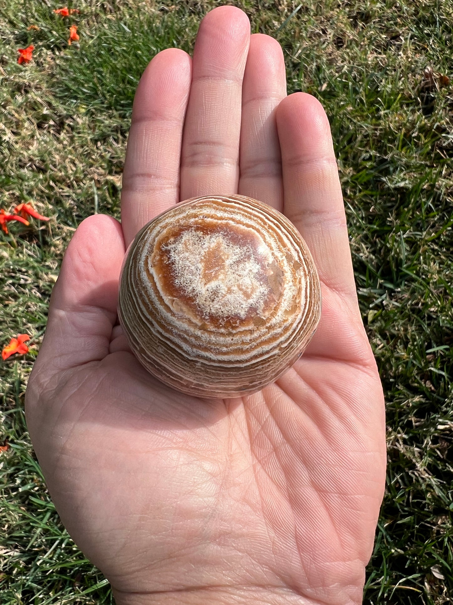 Ground Your Energy with a Calming Aragonite Sphere š