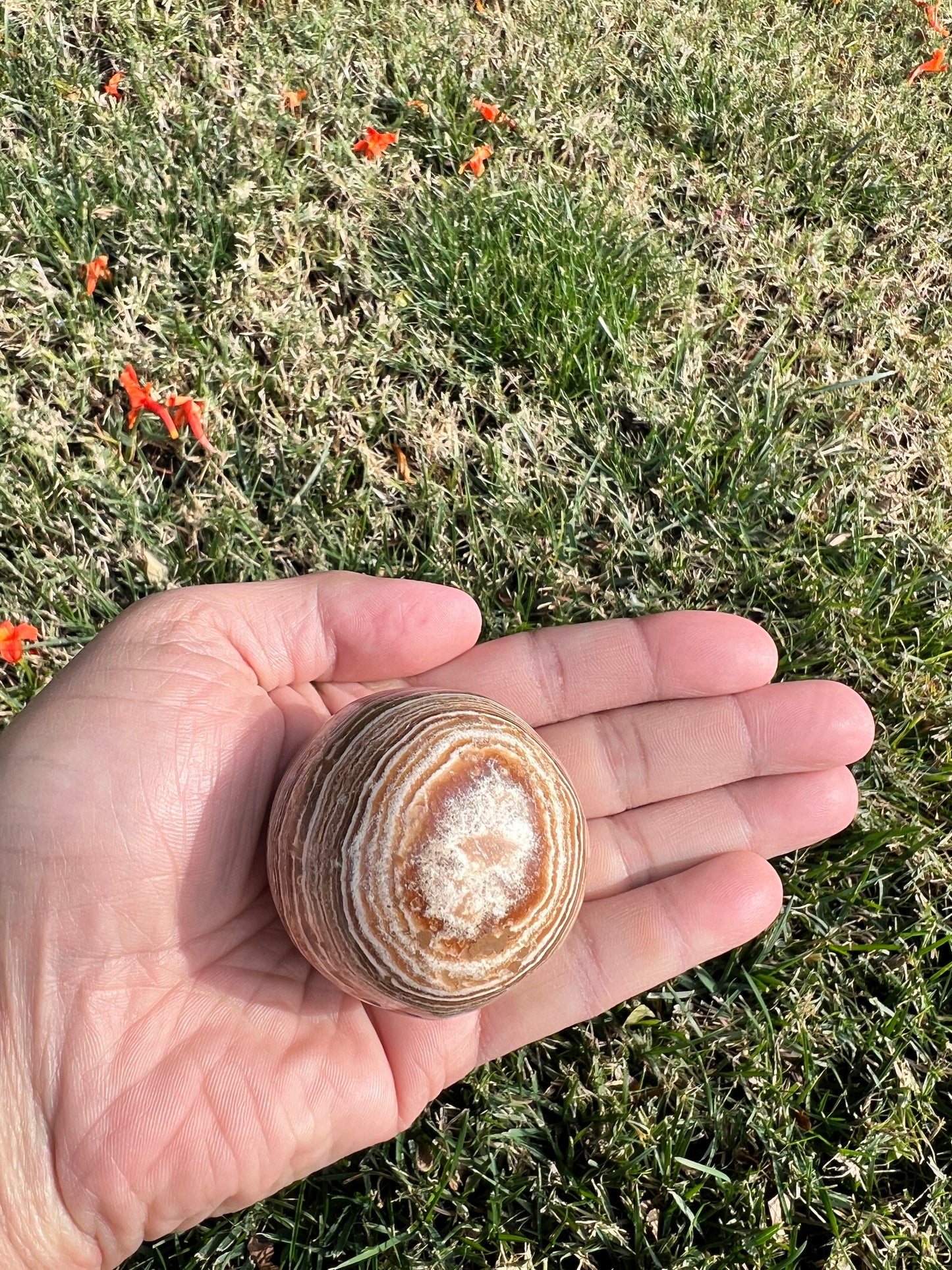 Ground Your Energy with a Calming Aragonite Sphere š