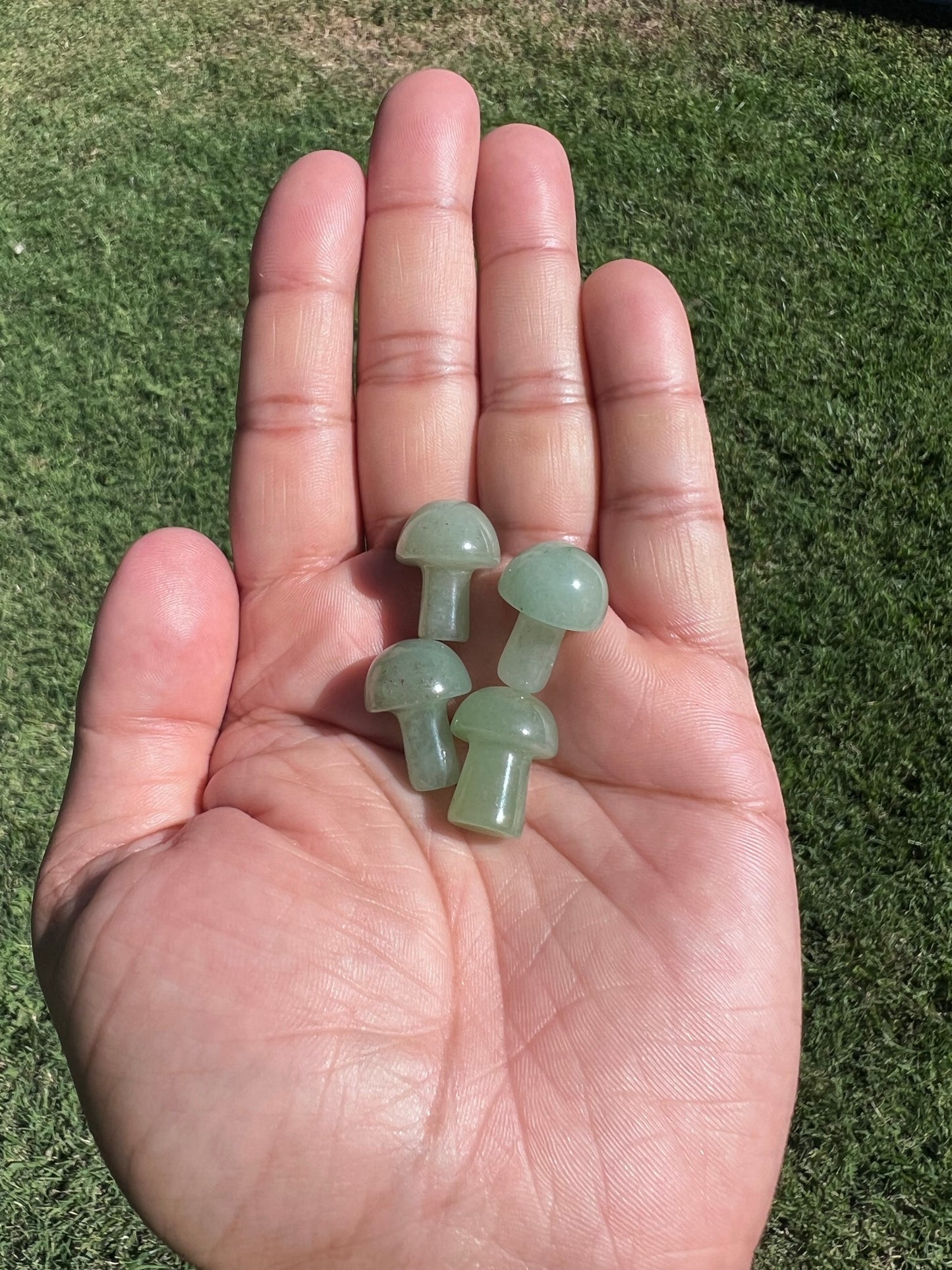 Attract Abundance with an Aventurine Mini Mushroom šš