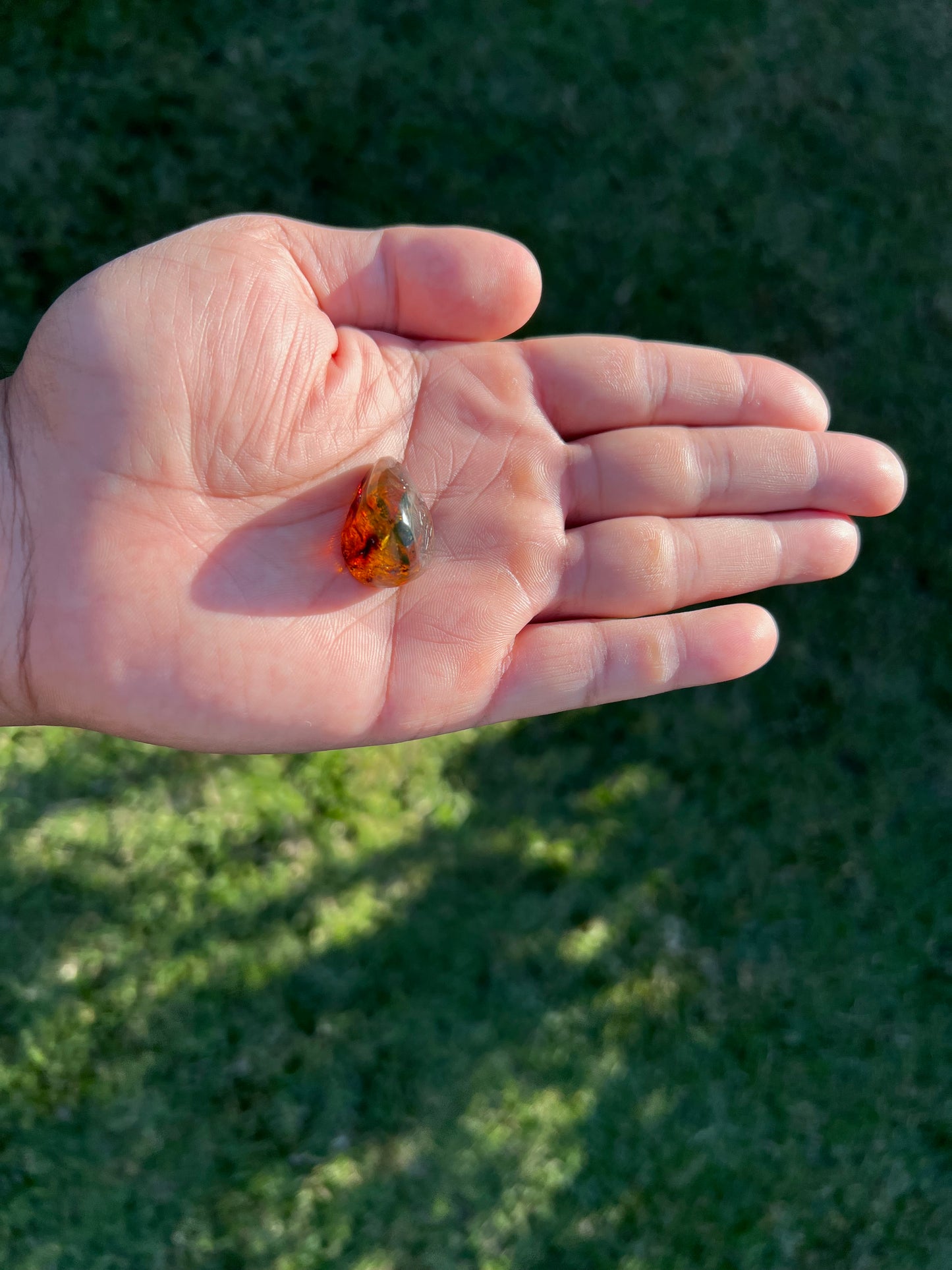 β¨ Unlock Ancient Magic with a Real Amber Geode from Mexico β¨