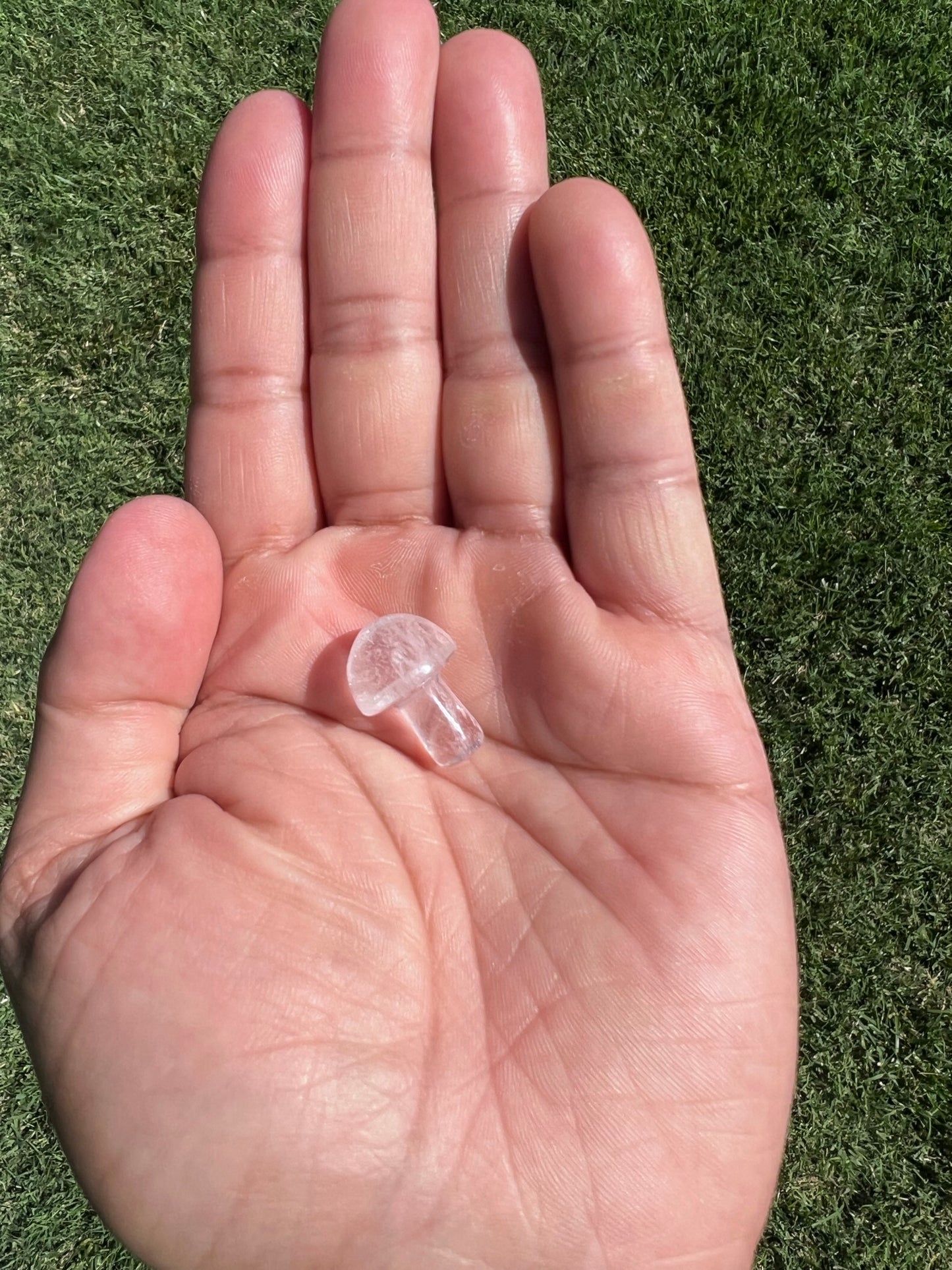 Find Clarity with a Mini Clear Quartz Mushroom šāØ