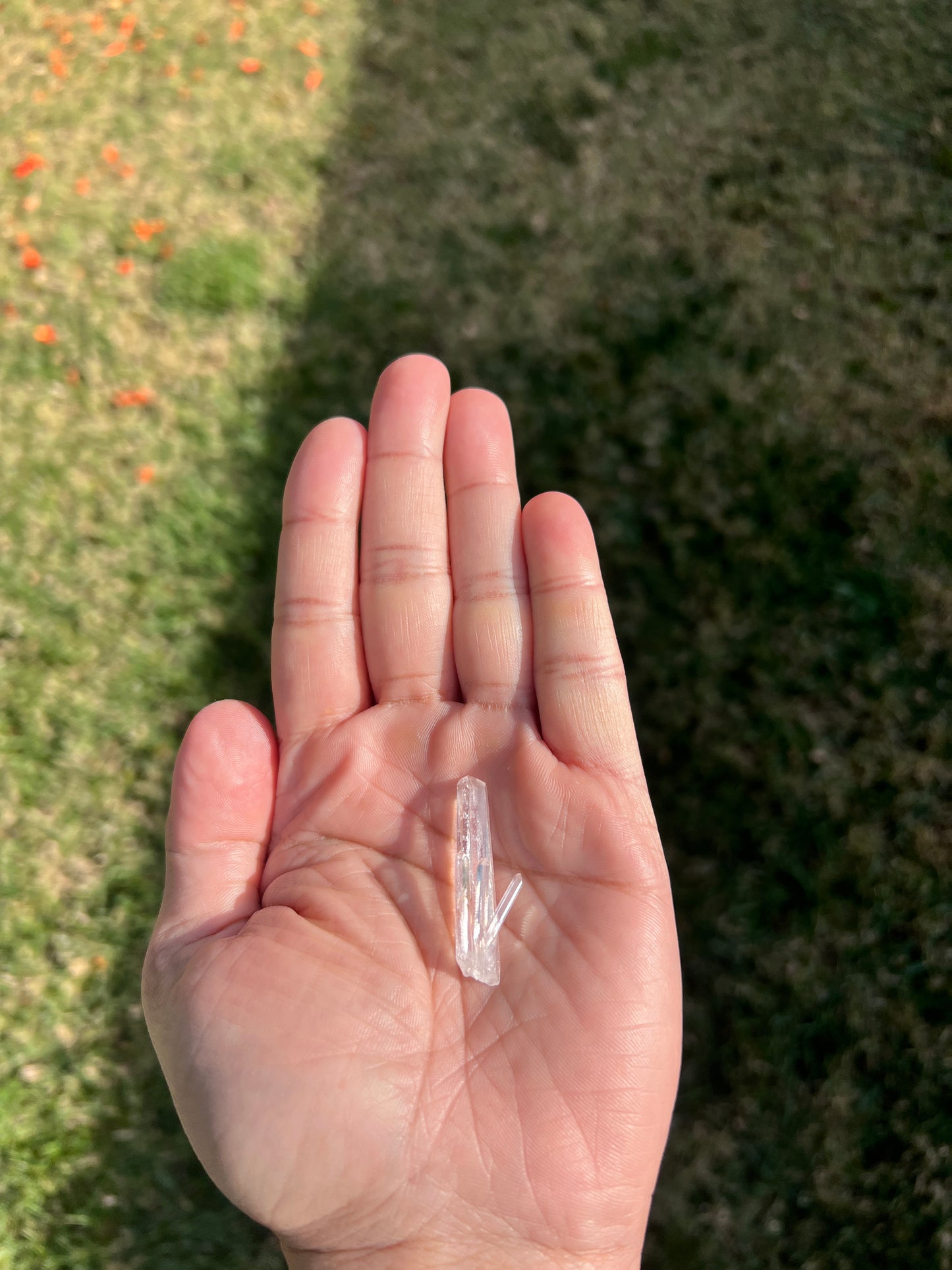 ⨠Unleash Your Inner Radiance with Colombian Clear Quartz â¨