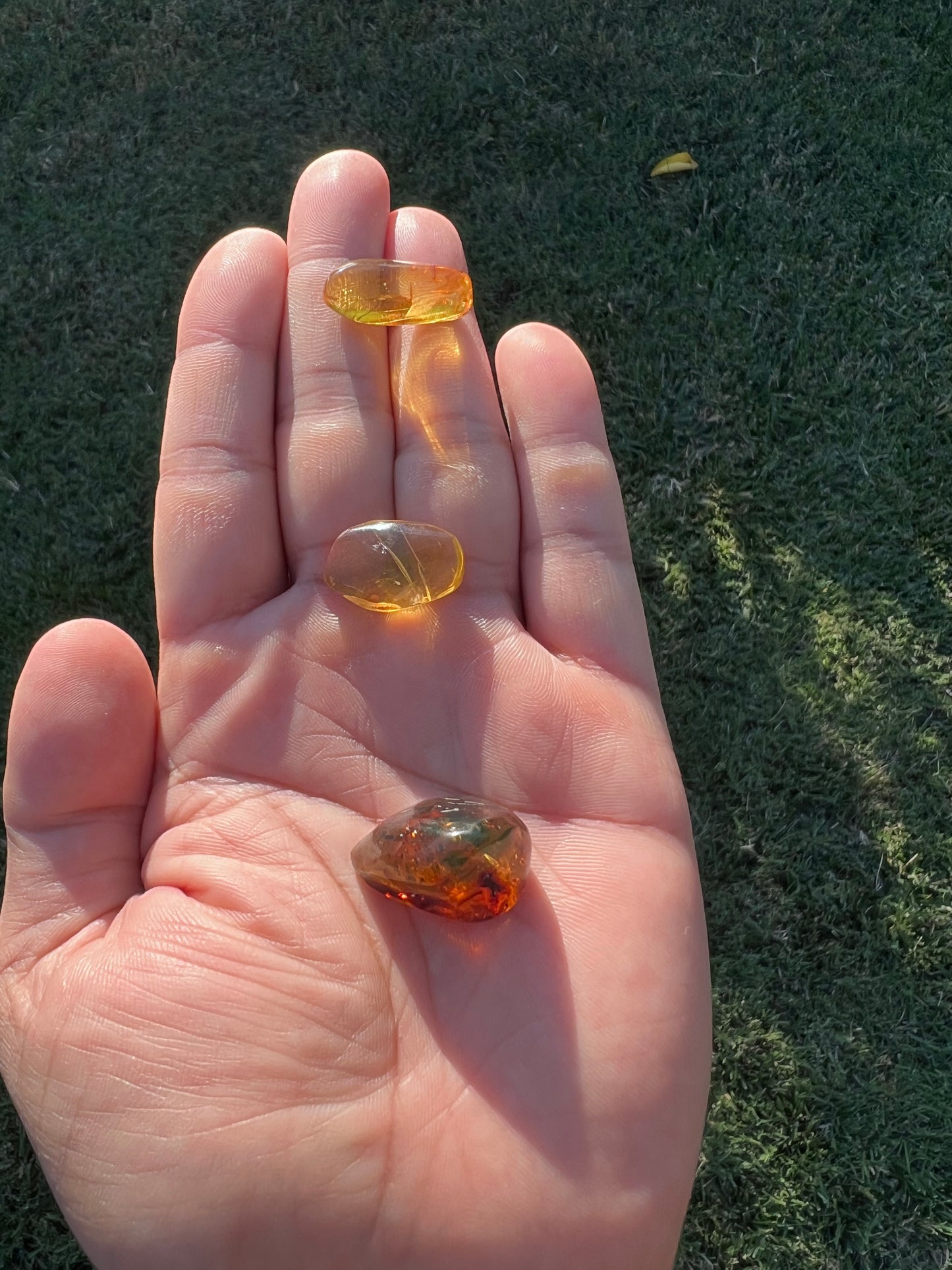 β¨ Unlock Ancient Magic with a Real Amber Geode from Mexico β¨