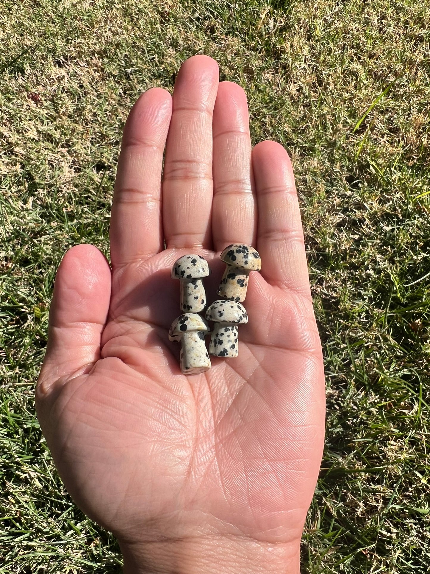 Unleash Your Inner Child with a Dalmatian Jasper Mini Mushroom πΎπ