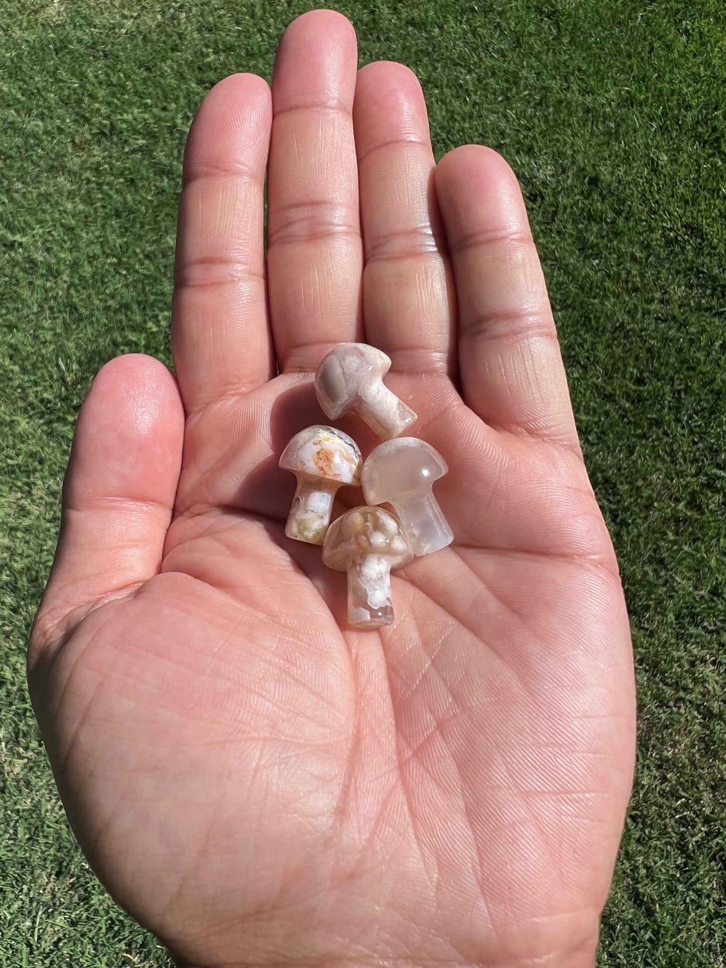 Blossom with Flower Agate: Mini Mushroom from Madagascar πΈπ
