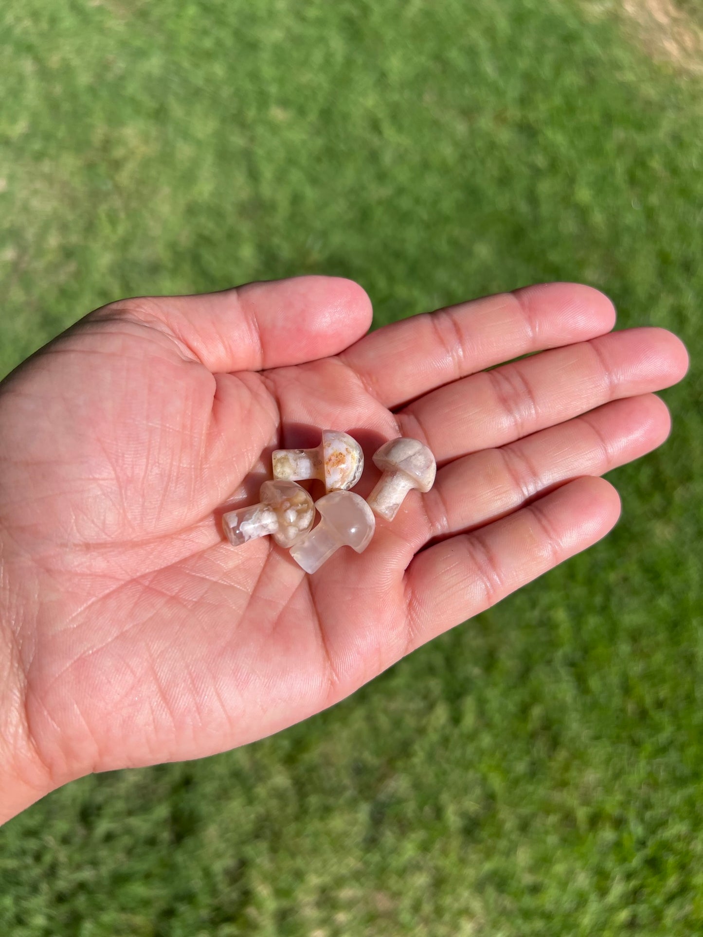 Blossom with Flower Agate: Mini Mushroom from Madagascar πΈπ
