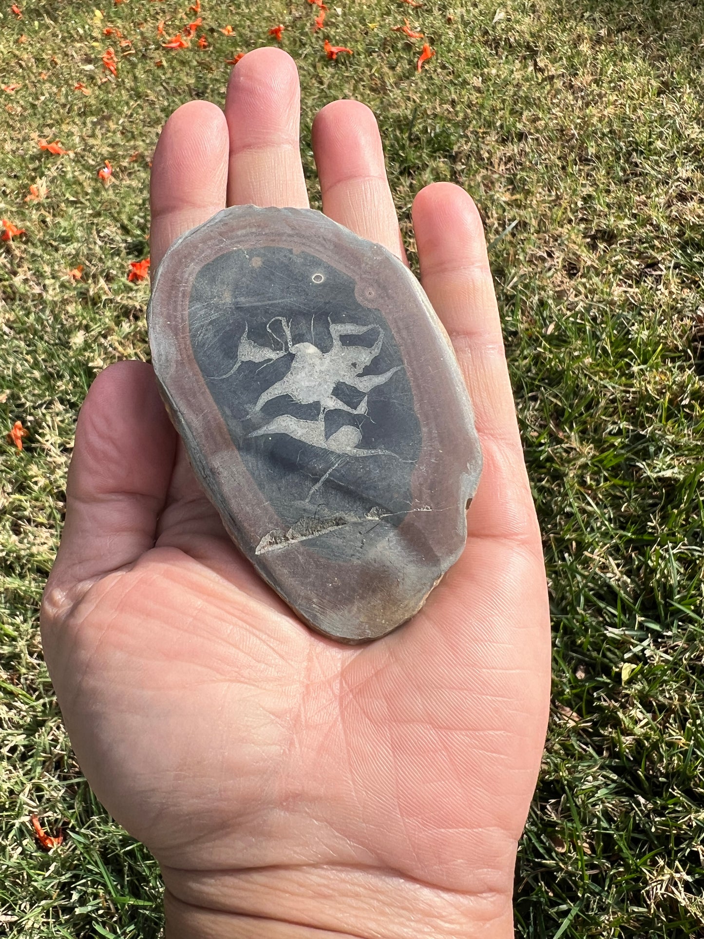 ✨ Unleash Your Inner Power with a Septarian Stone Plate✨