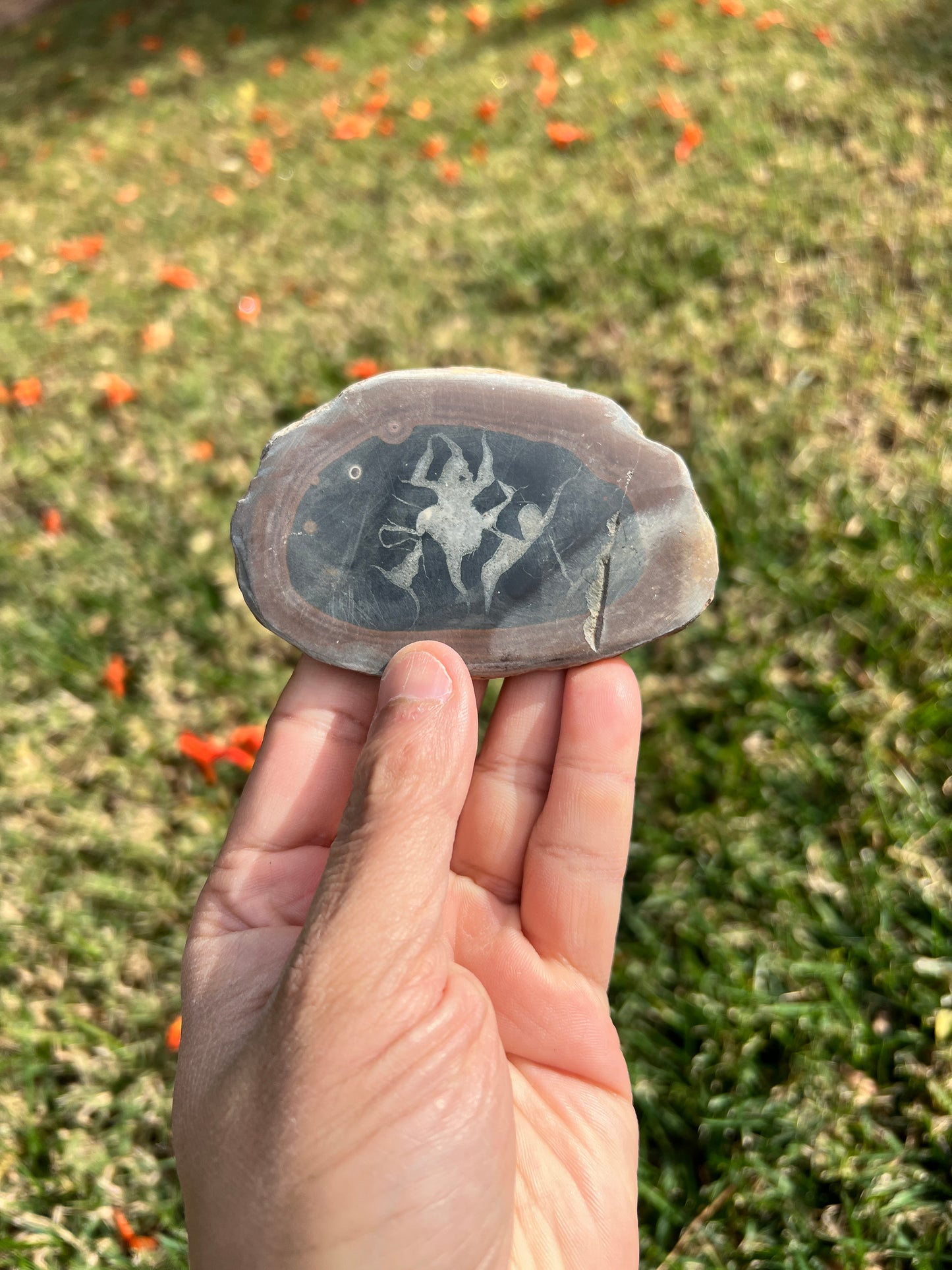 ✨ Unleash Your Inner Power with a Septarian Stone Plate✨