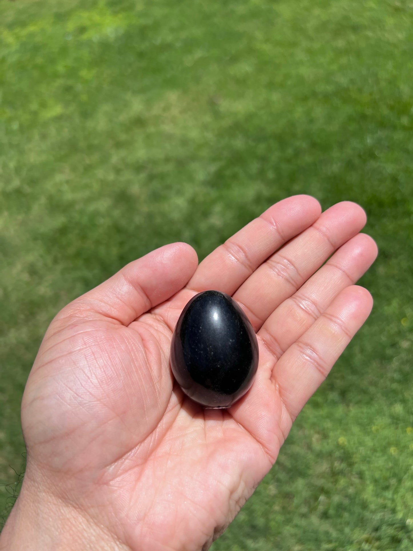 Brazilian Black Chalcedony Egg Crystals