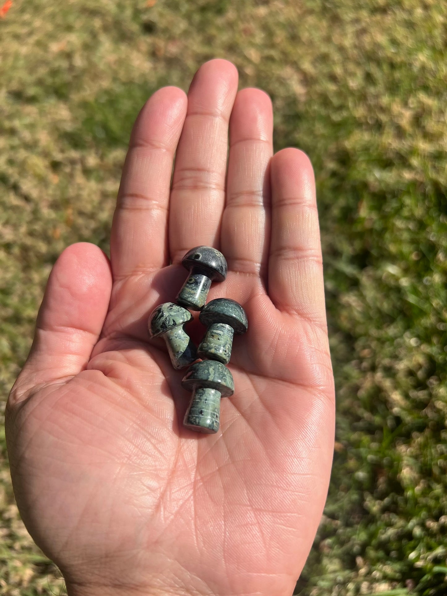 Find Your Ground with a Kambamba Jasper Mini Mushroom from Madagascar š§š