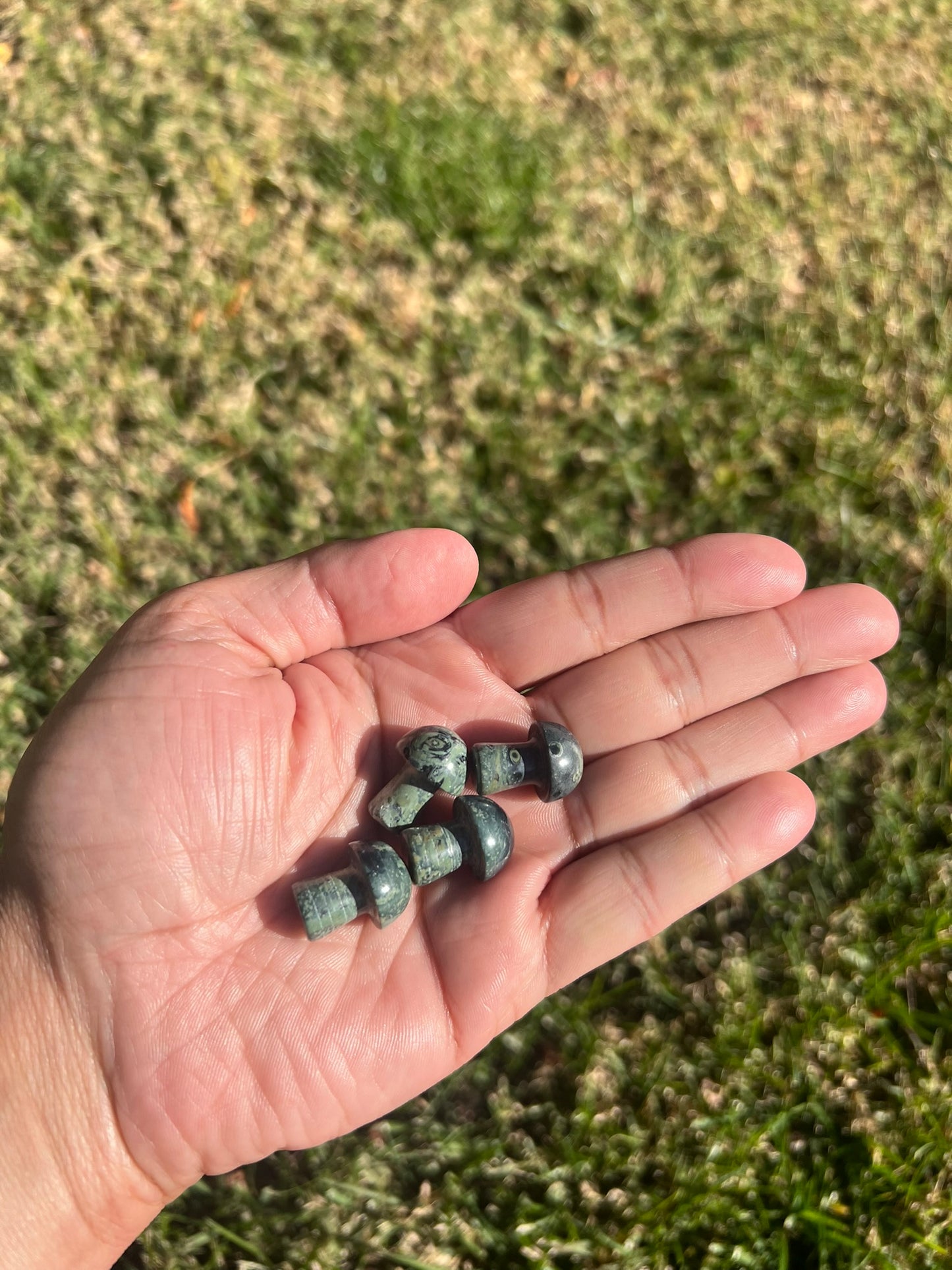 Find Your Ground with a Kambamba Jasper Mini Mushroom from Madagascar š§š