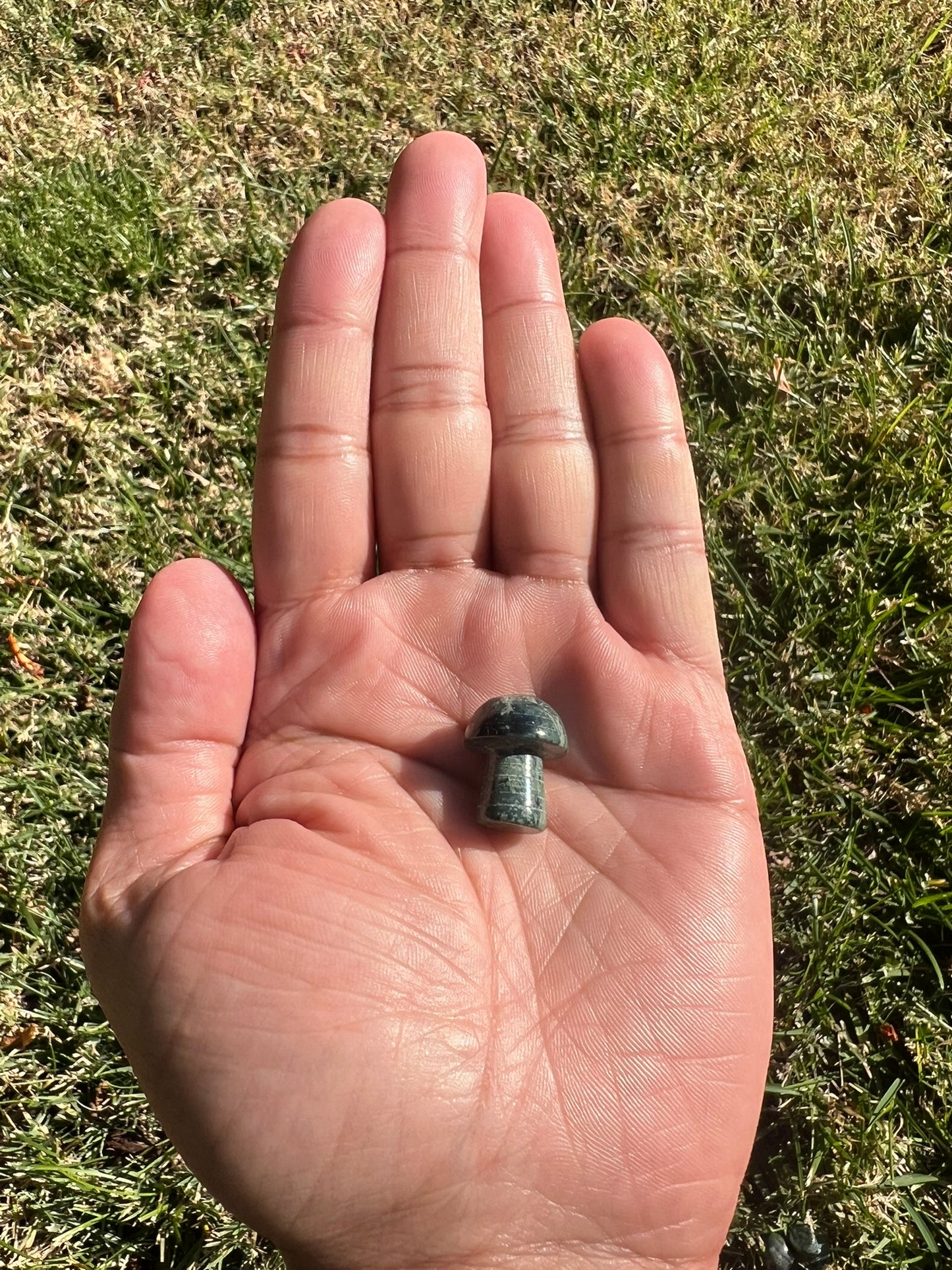Find Your Ground with a Kambamba Jasper Mini Mushroom from Madagascar š§š
