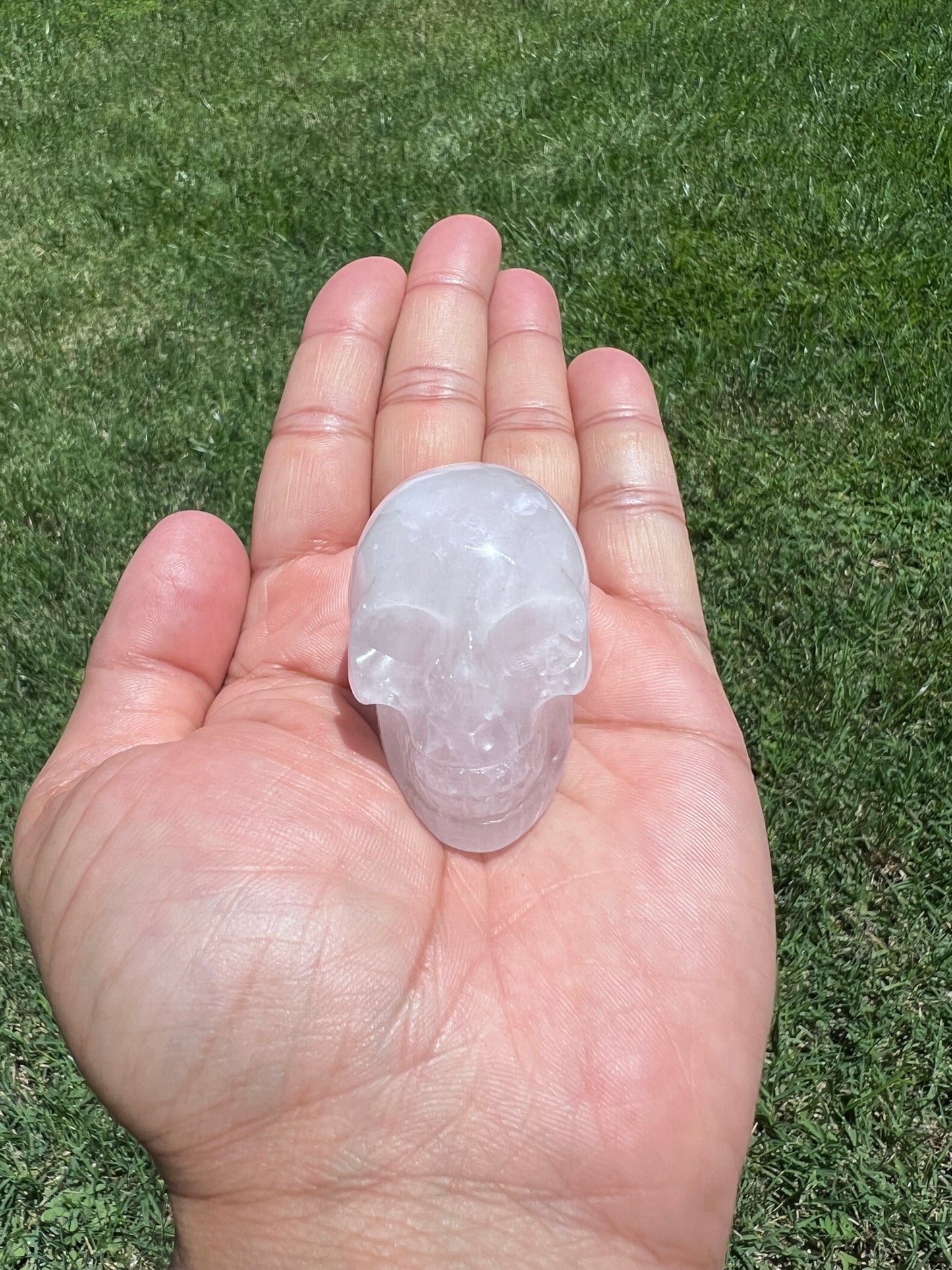 Unlock Ancient Wisdom with a Crystal Skull šāØ