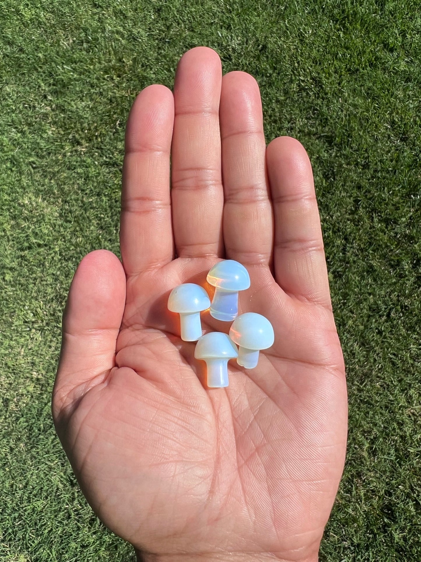 Shine Bright with an Opalite Mini Mushroom āØš