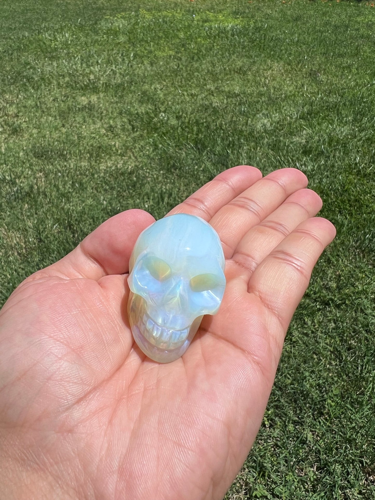 Unlock Ancient Wisdom with a Crystal Skull šāØ