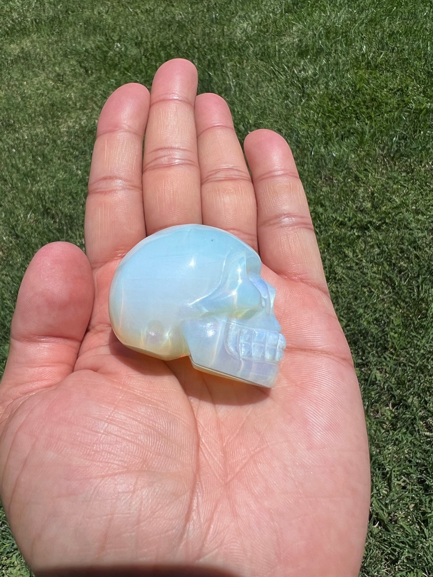 Unlock Ancient Wisdom with a Crystal Skull šāØ