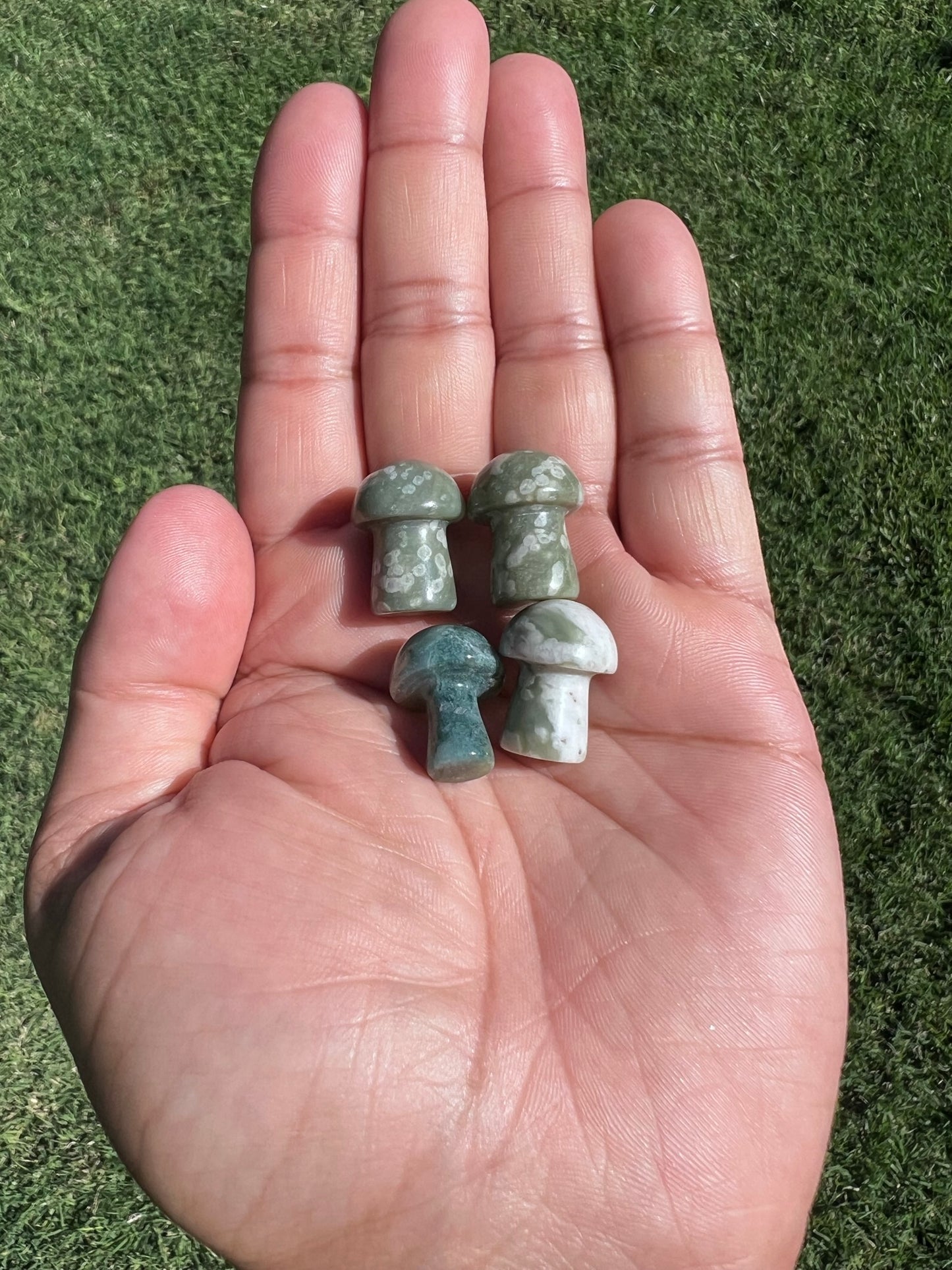 Cultivate Tranquility with a Peace Jasper Mini Mushroom from Australia š