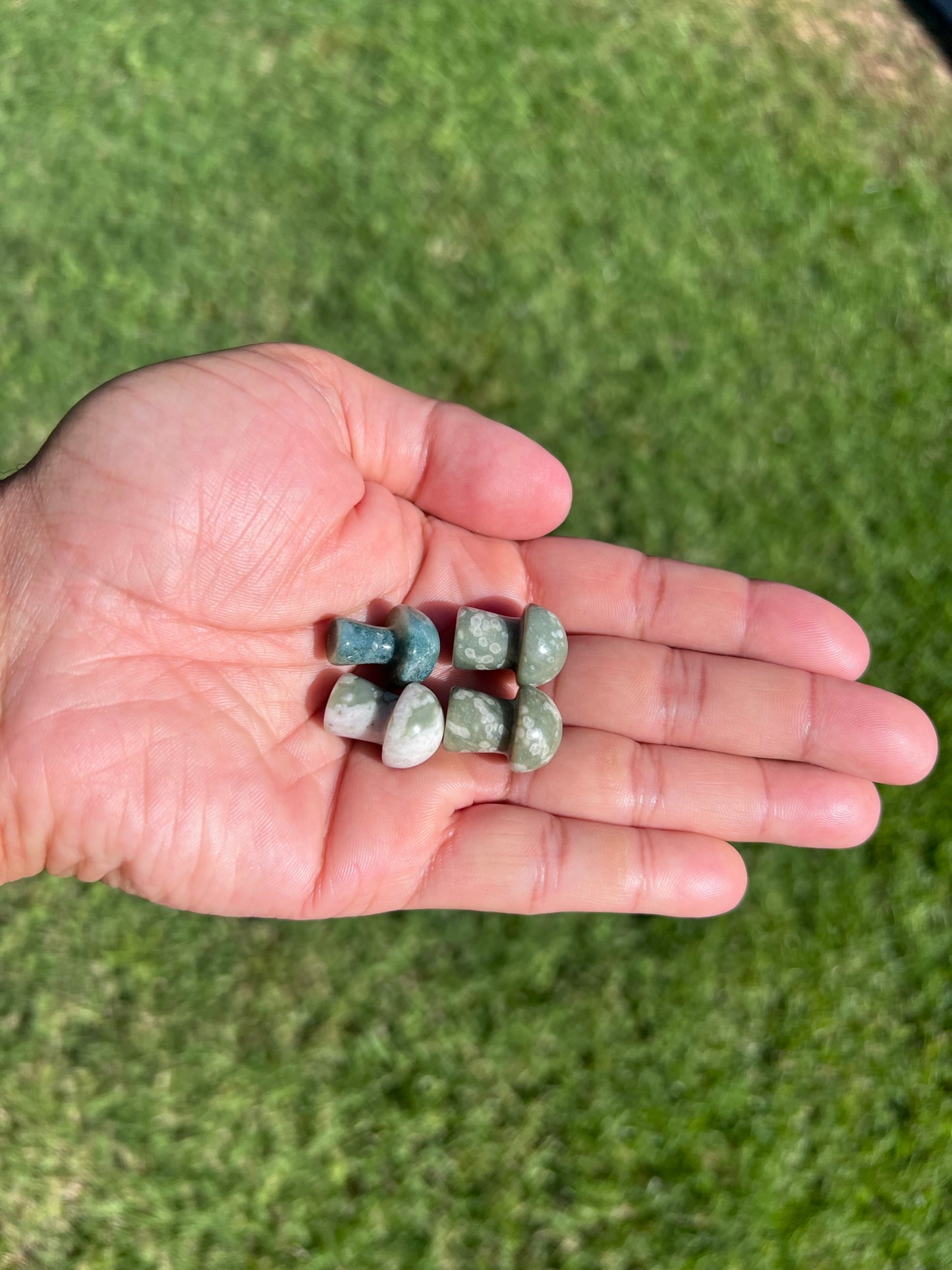 Cultivate Tranquility with a Peace Jasper Mini Mushroom from Australia š