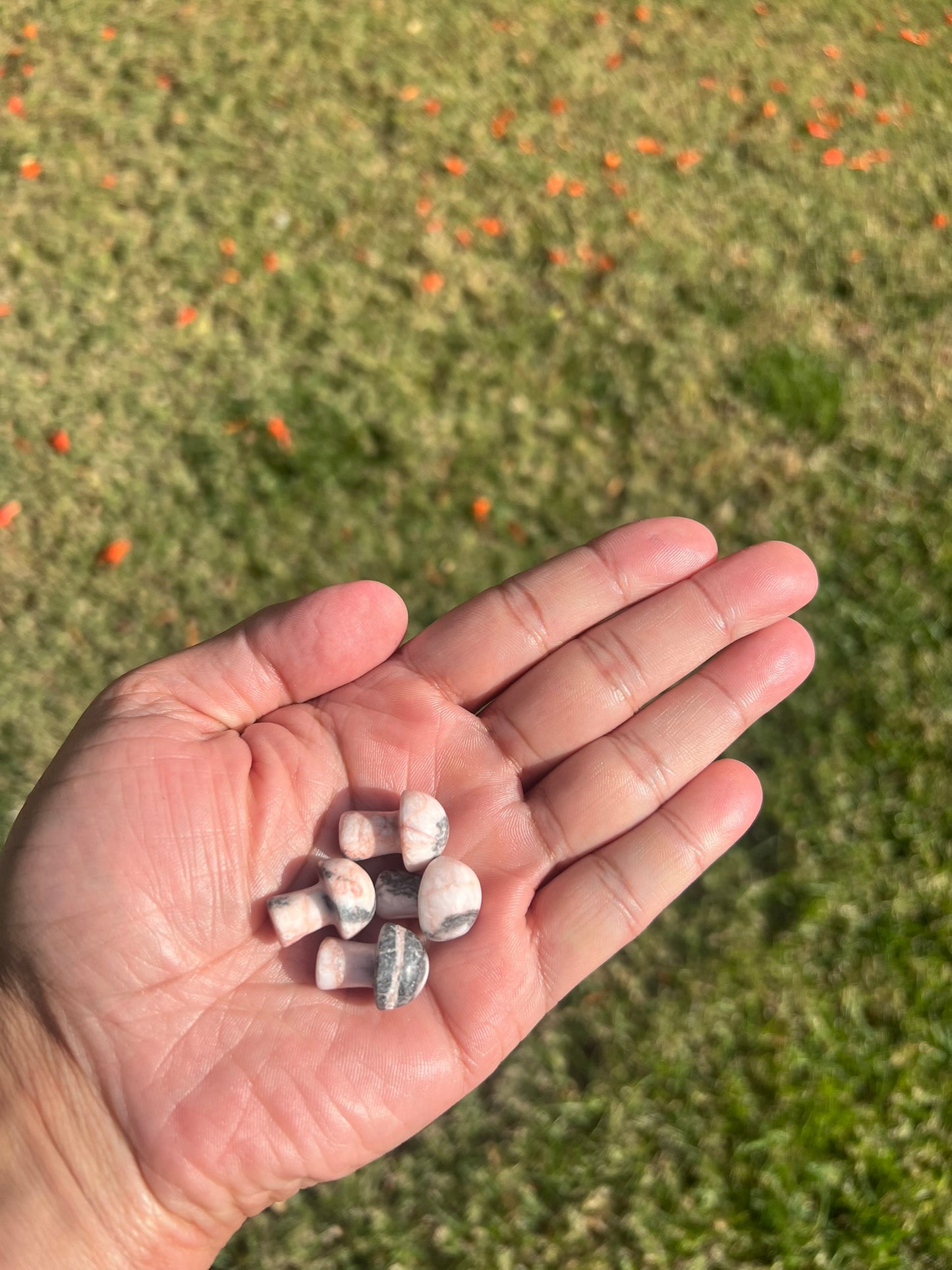 Embrace Joy with a Pink Zebra Jasper Mini Mushroom from Australia šš