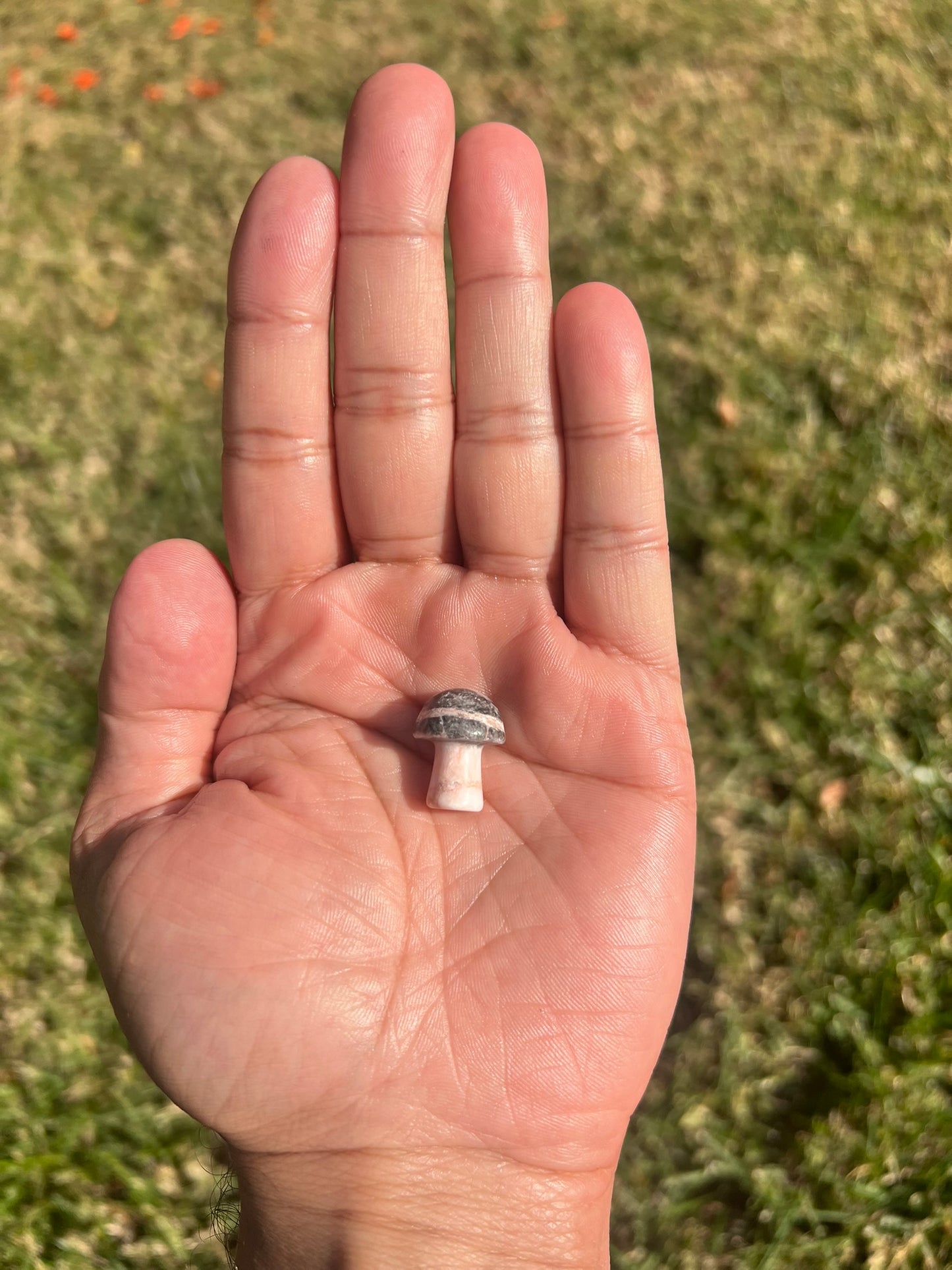 Embrace Joy with a Pink Zebra Jasper Mini Mushroom from Australia šš