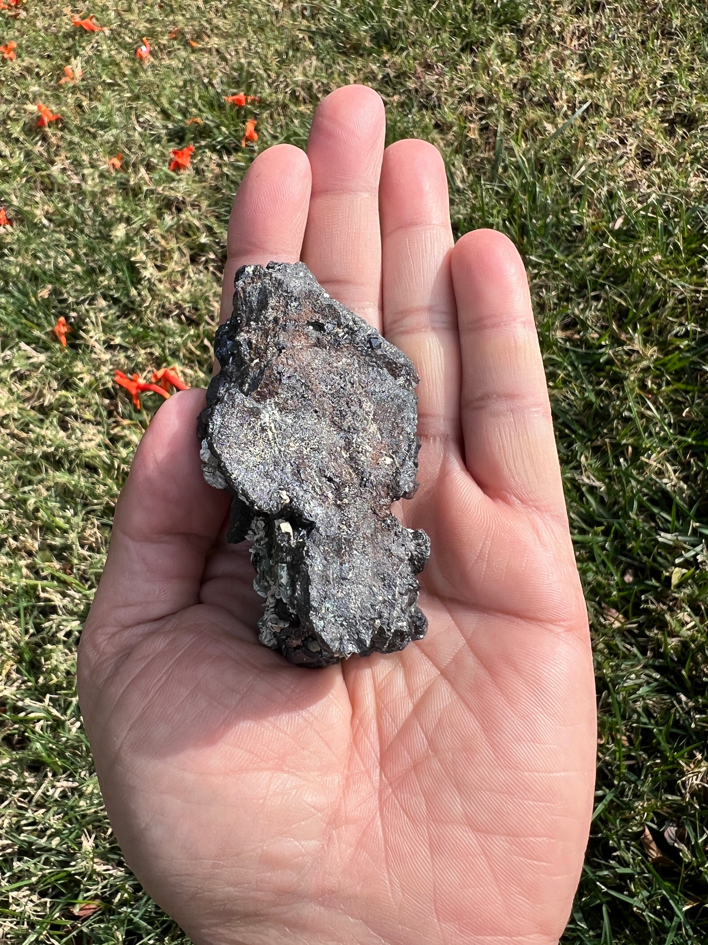 ⚡️ Unleash Abundance with a Raw San Diego Pyrite Geode! ⚡️