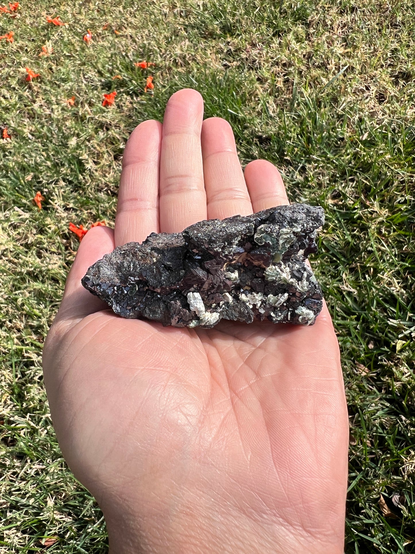 ⚡️ Unleash Abundance with a Raw San Diego Pyrite Geode! ⚡️