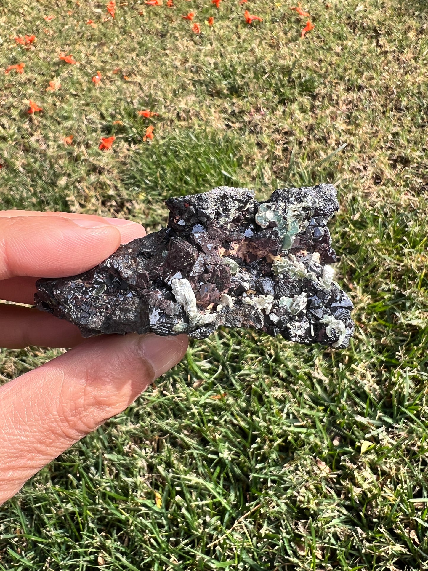 ⚡️ Unleash Abundance with a Raw San Diego Pyrite Geode! ⚡️