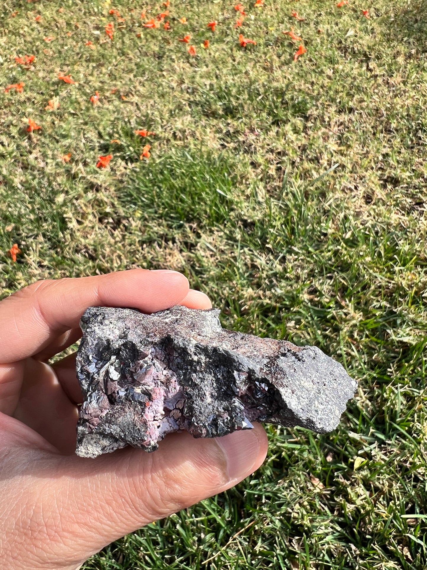 ⚡️ Unleash Abundance with a Raw San Diego Pyrite Geode! ⚡️