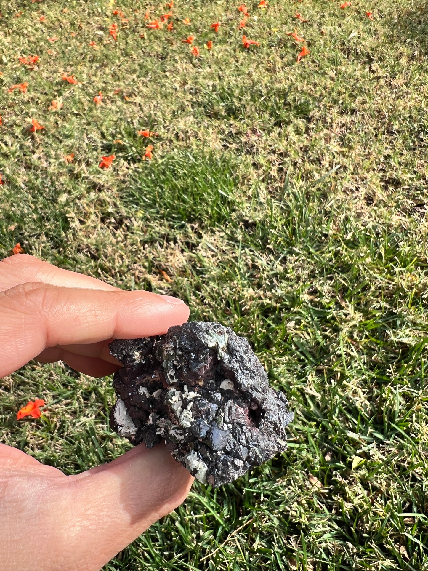 ⚡️ Unleash Abundance with a Raw San Diego Pyrite Geode! ⚡️
