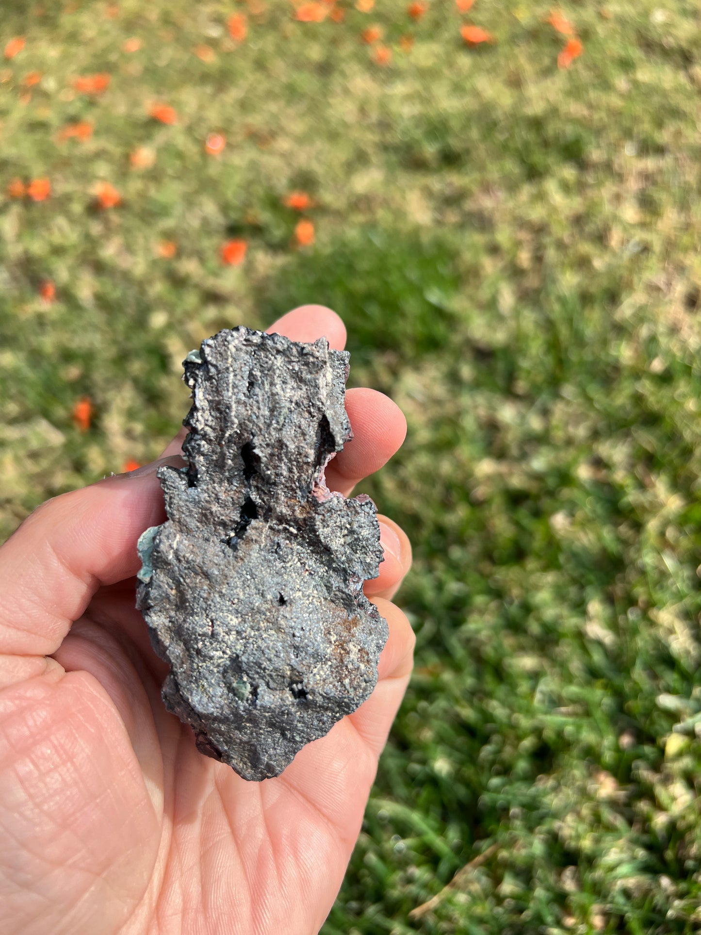 ⚡️ Unleash Abundance with a Raw San Diego Pyrite Geode! ⚡️