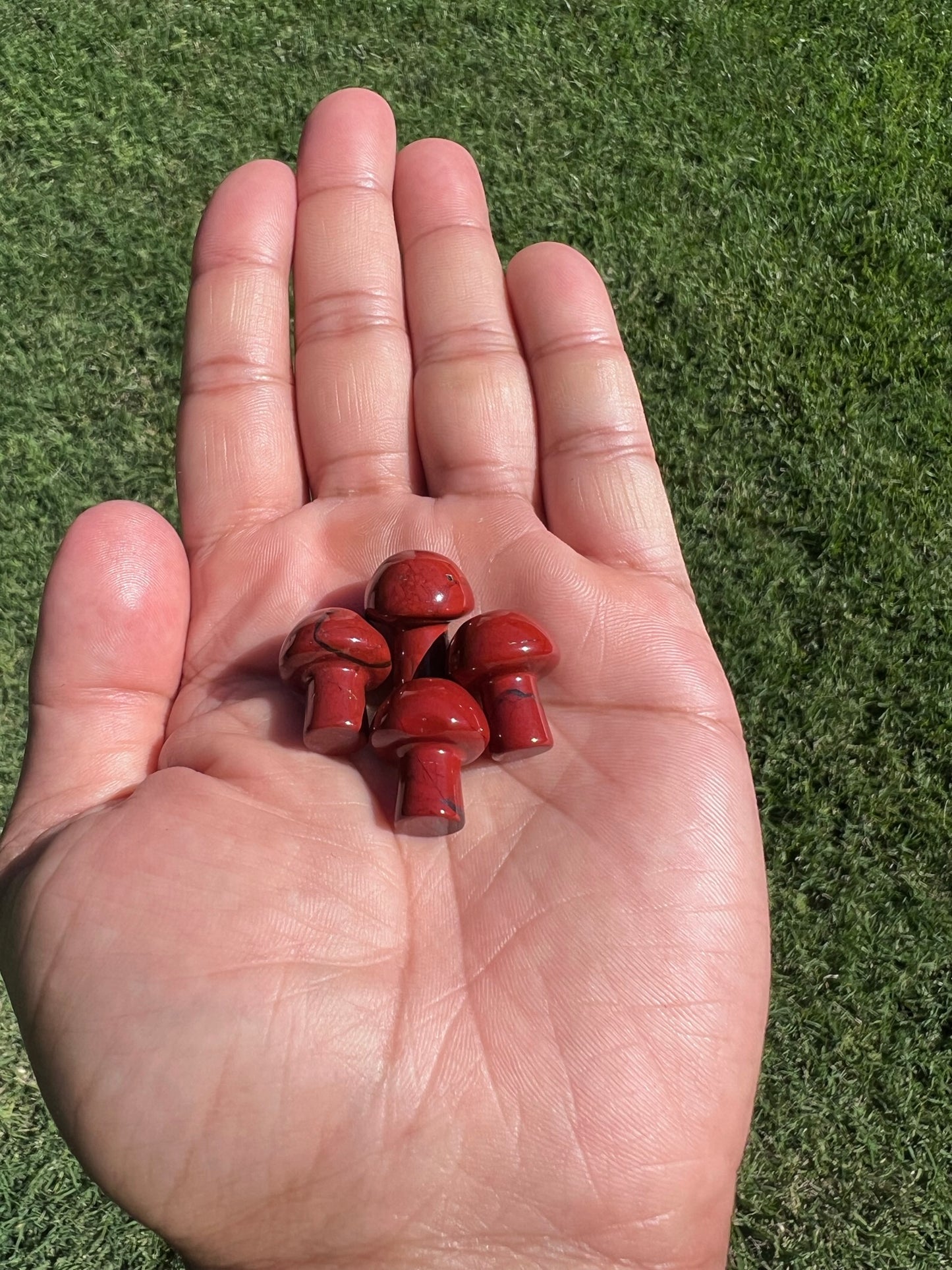 Ground and Energize with a Red Jasper Mini Mushroom from Egypt ā¤ļøš