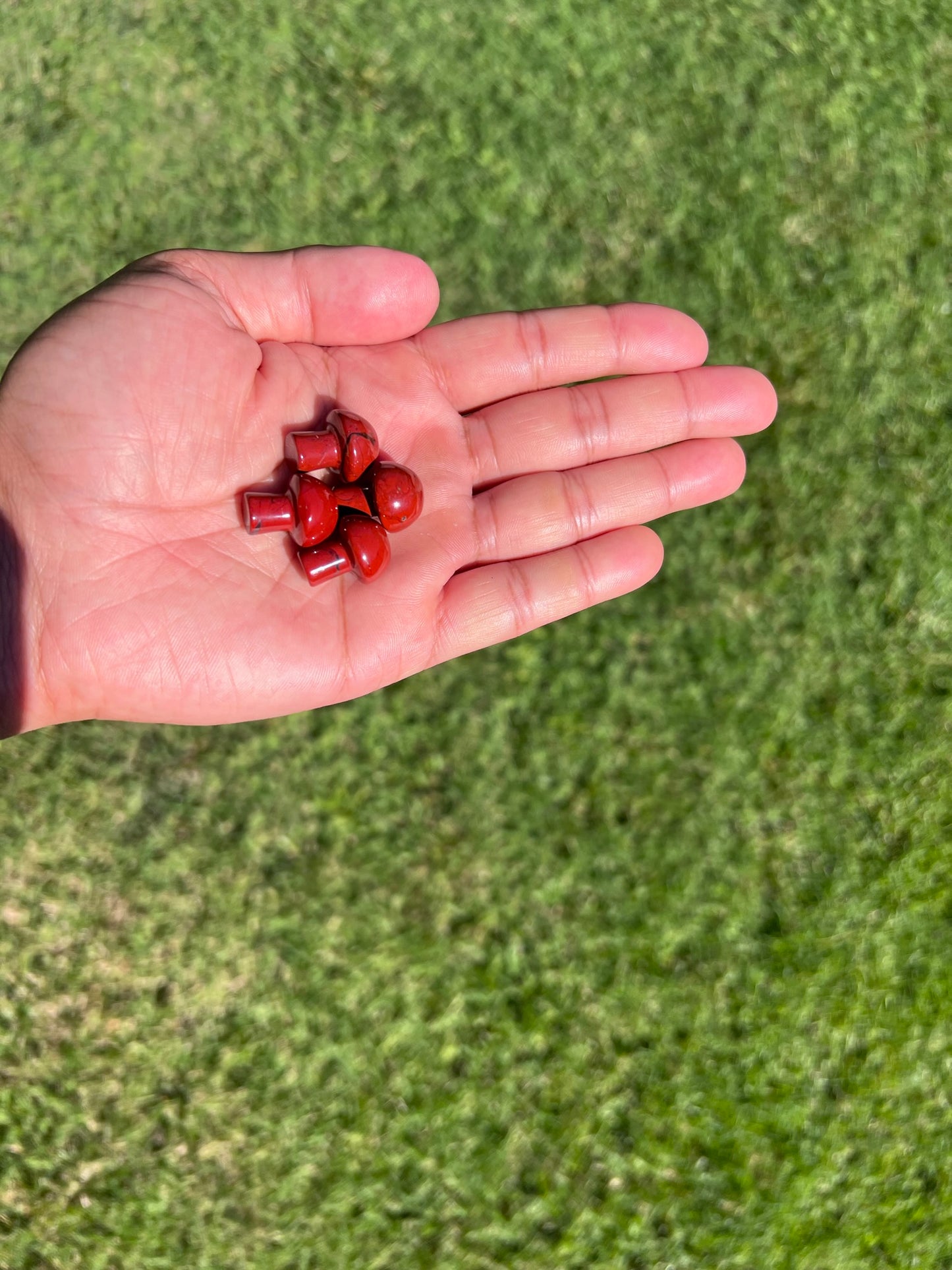 Ground and Energize with a Red Jasper Mini Mushroom from Egypt ā¤ļøš