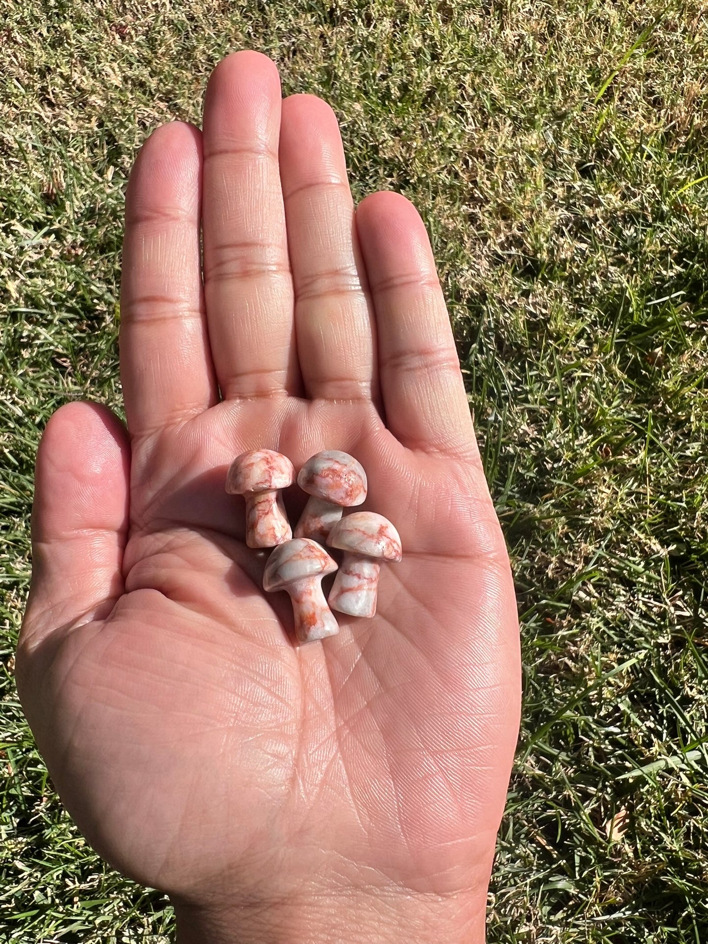 Ground and Revitalize with a Red Vein Jasper Mini Mushroom from Russia š