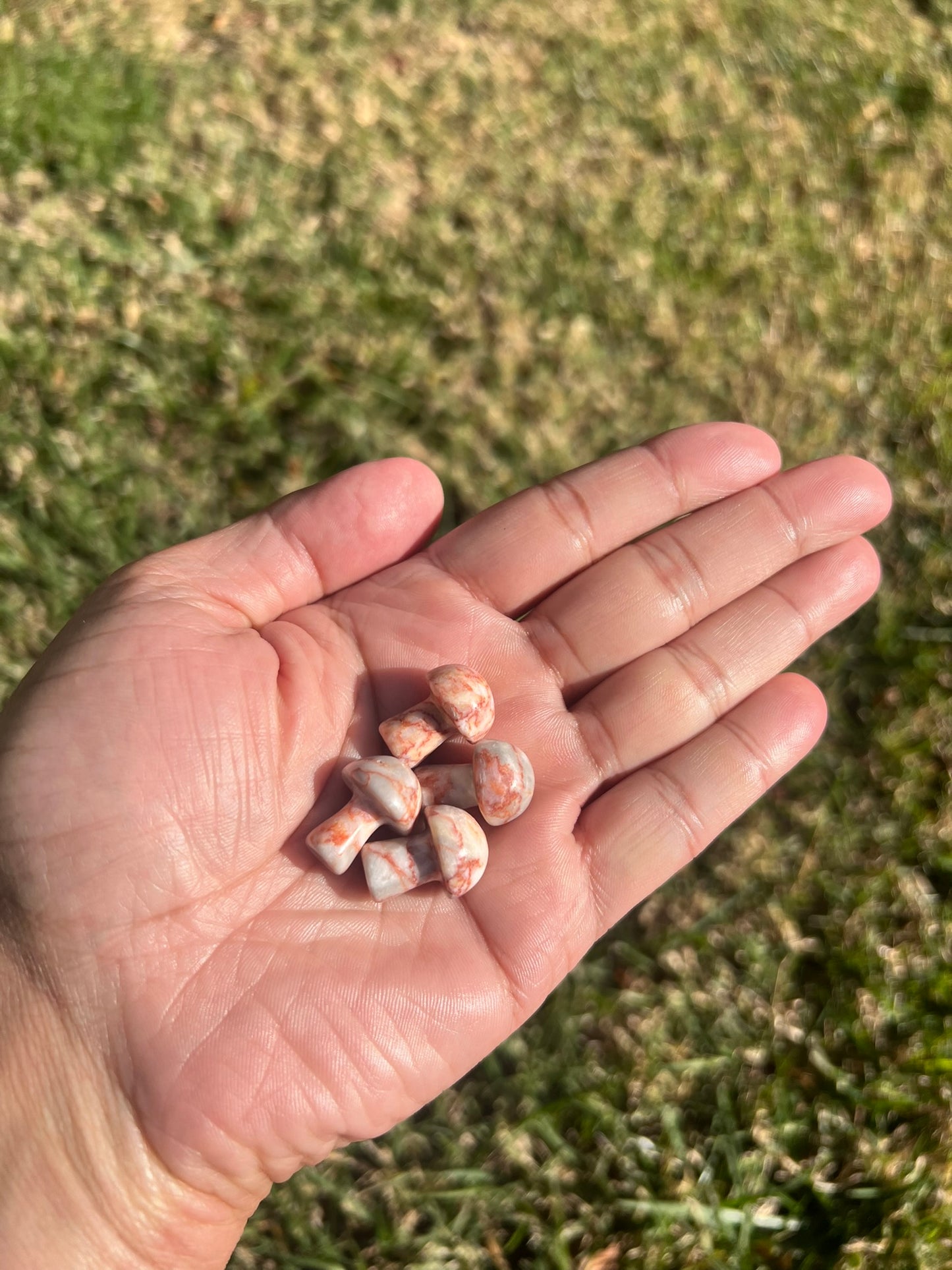 Ground and Revitalize with a Red Vein Jasper Mini Mushroom from Russia š