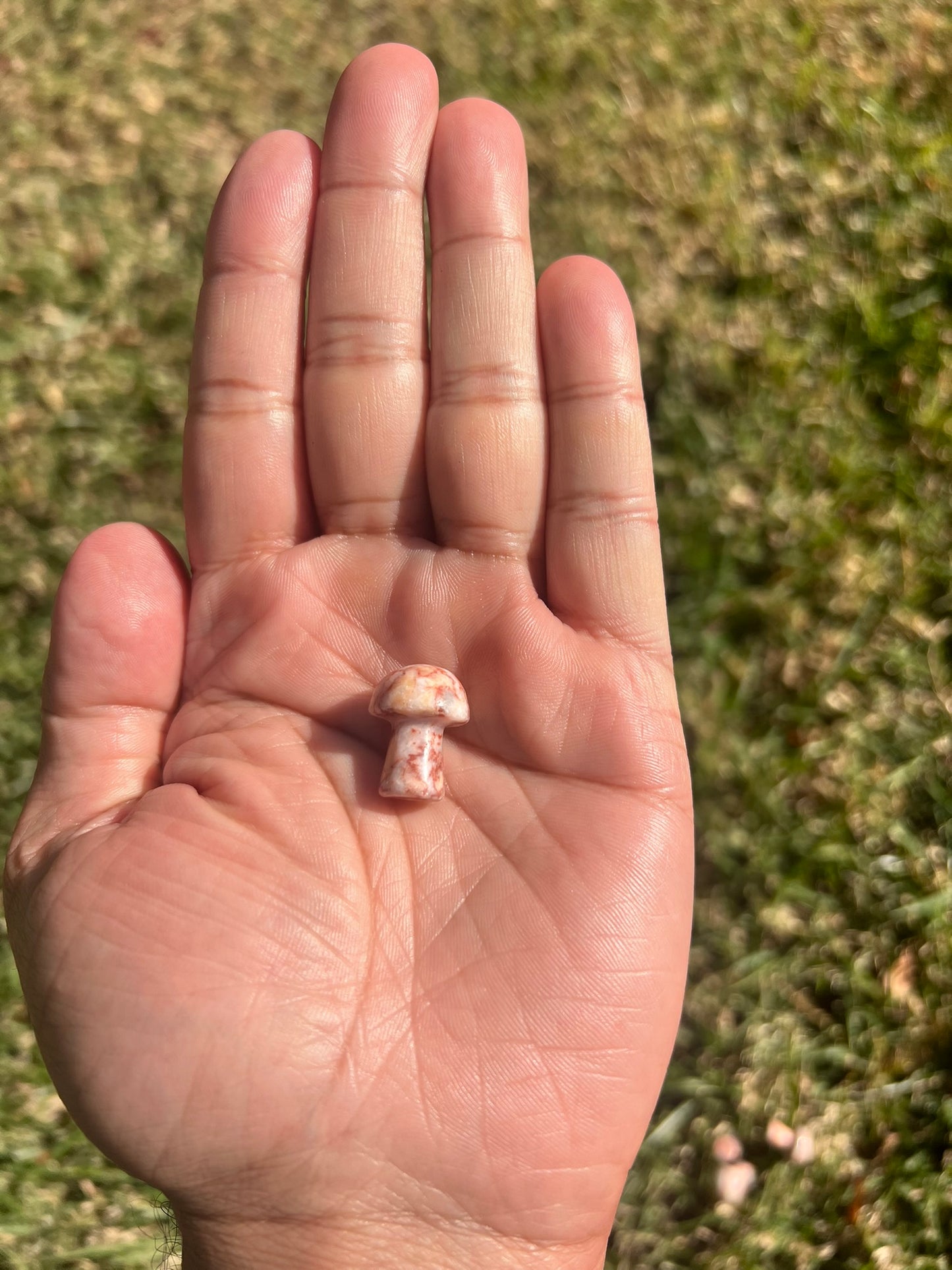 Ground and Revitalize with a Red Vein Jasper Mini Mushroom from Russia š