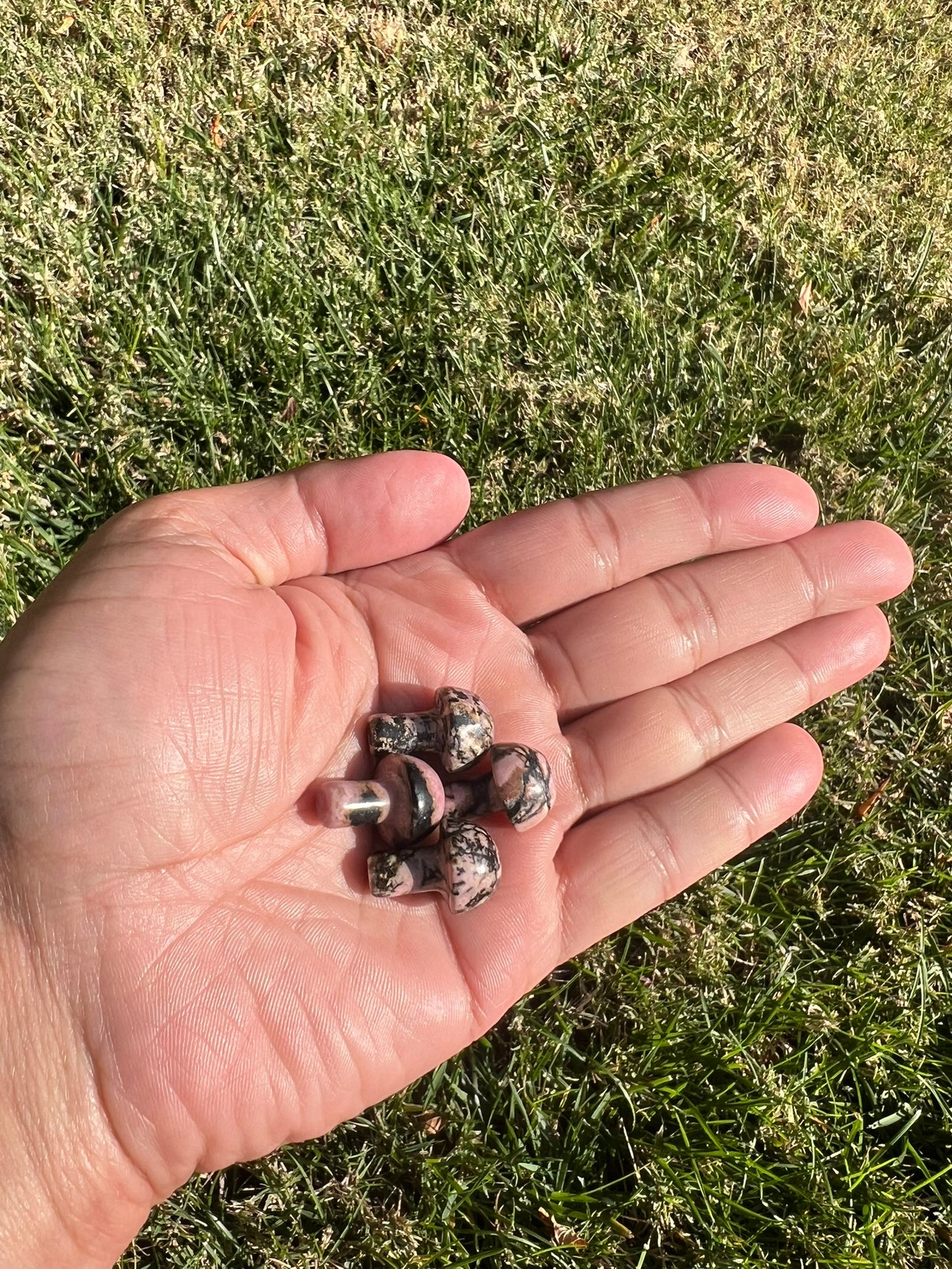 Open Your Heart with a Rhodonite Mini Mushroom from Russia šš