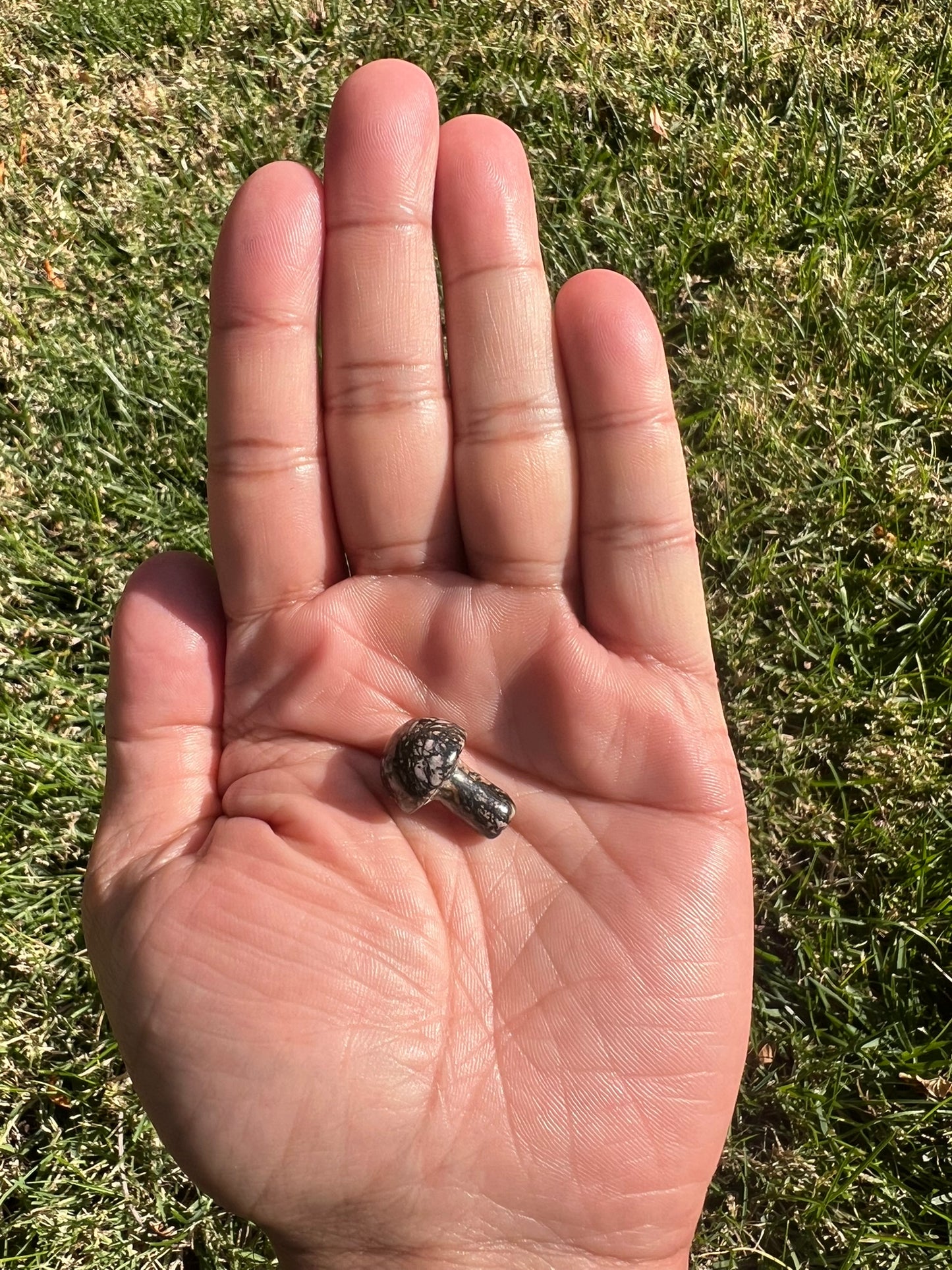 Open Your Heart with a Rhodonite Mini Mushroom from Russia šš