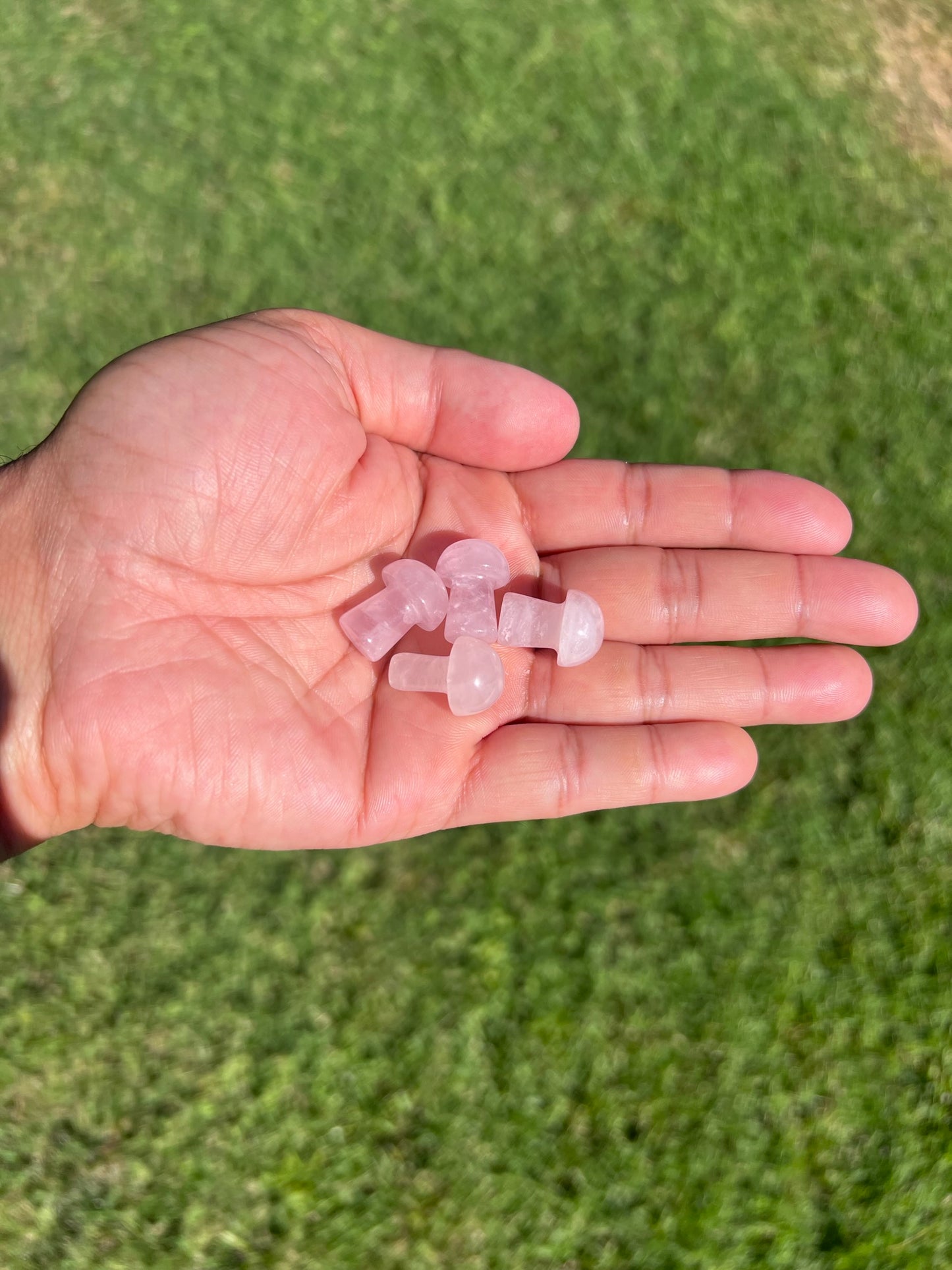 Bloom with Love: Mini Rose Quartz Mushroom ππ
