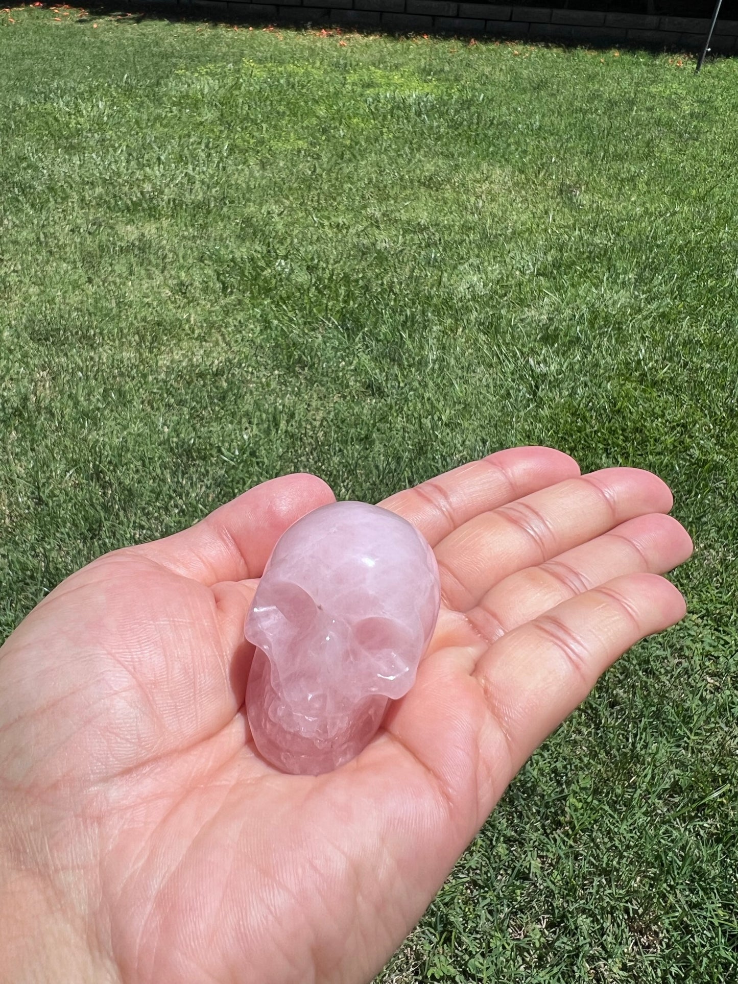 Unlock Ancient Wisdom with a Crystal Skull šāØ