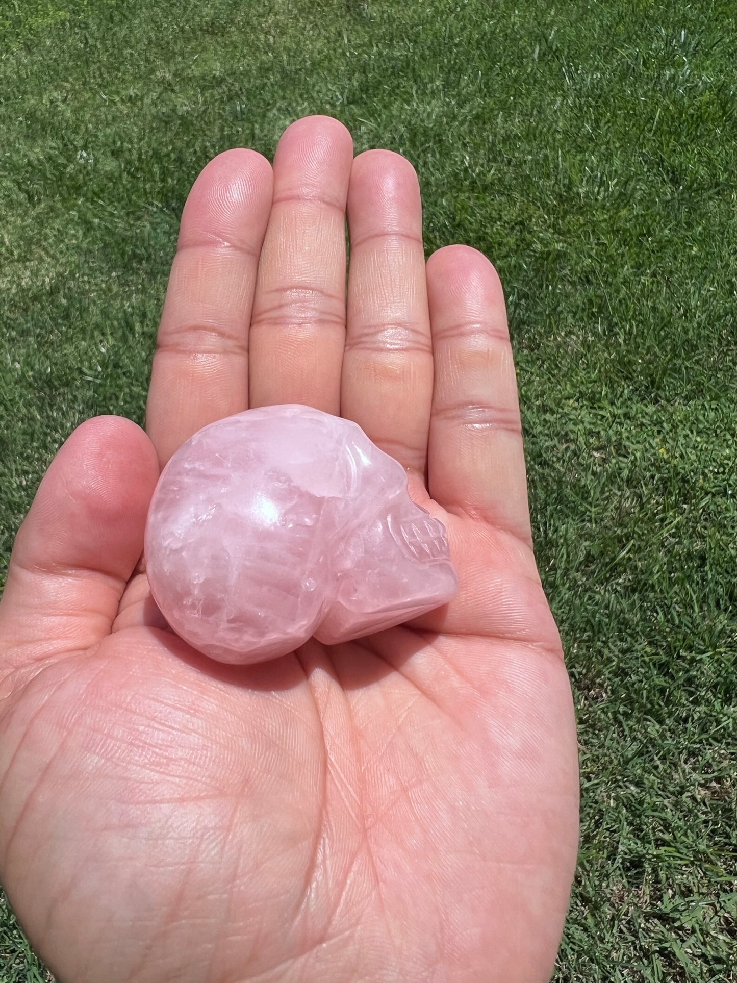 Unlock Ancient Wisdom with a Crystal Skull šāØ